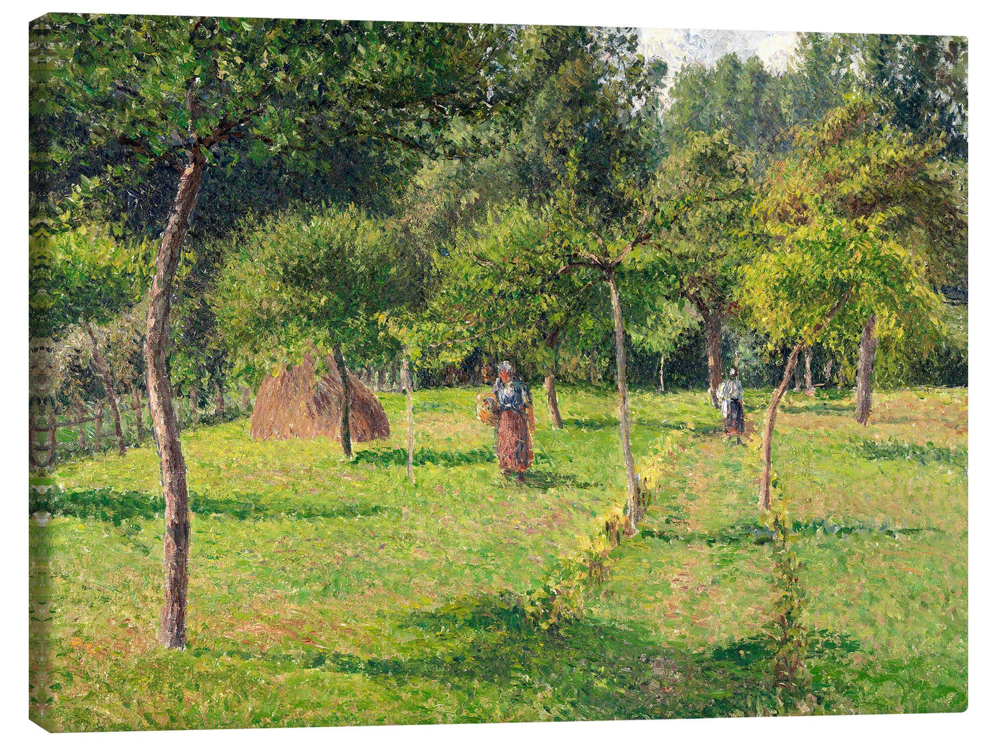 Posterlounge Wandbild Obstgarten in Éragny, Camille Pissarro, erhältlich als Poster, Leinwandbild, Wandsticker oder Acrylglasbild