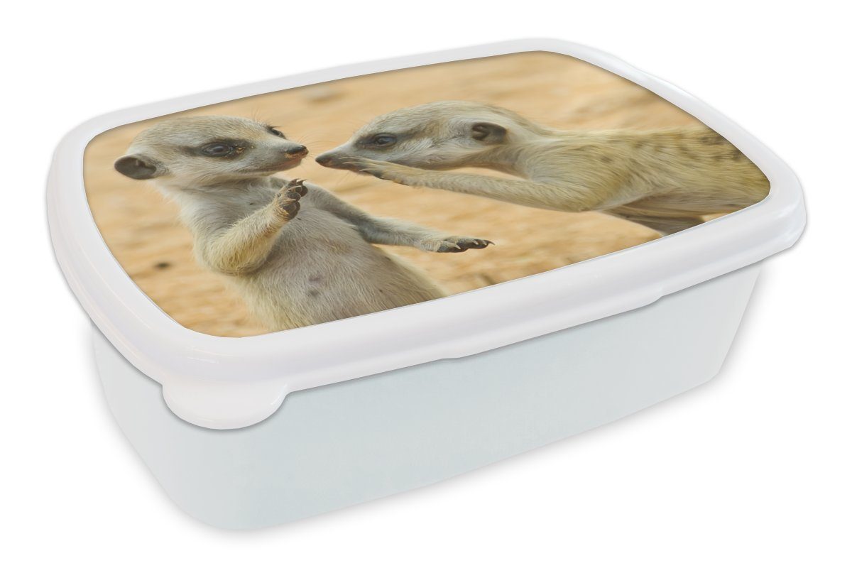 MuchoWow Lunchbox Erdmännchen - Braun - Tier, Kunststoff, (2-tlg), Brotbox für Kinder und Erwachsene, Brotdose, für Jungs und Mädchen weiß