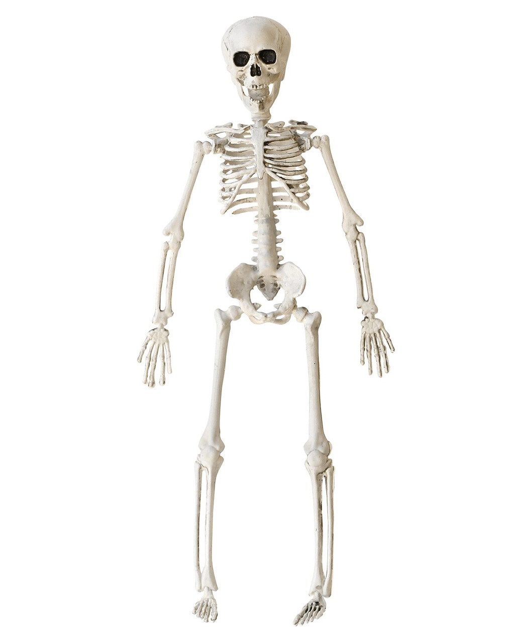 Horror-Shop Dekoobjekt Halloween Skelett 40 cm - Beweglich