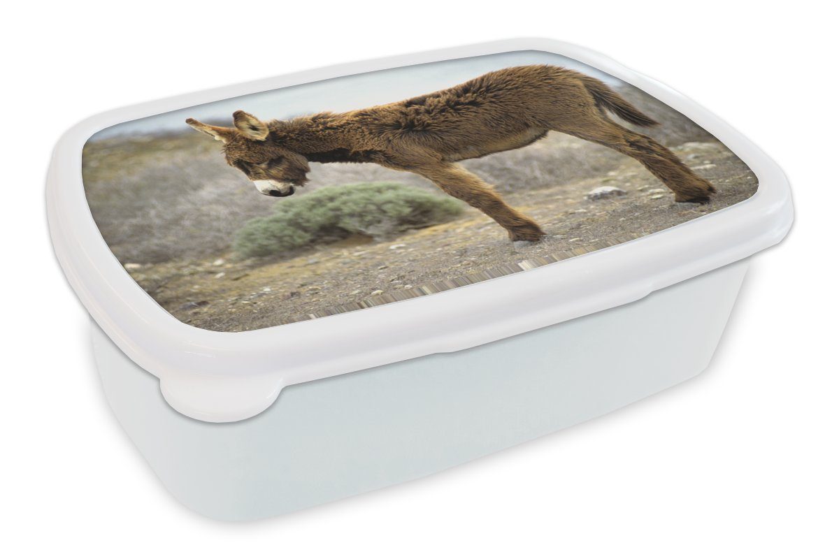 MuchoWow Lunchbox Einsamer Esel in Brotdose, Erwachsene, Mädchen Kinder für weiß Kunststoff, und Brotbox und Landschaft, (2-tlg), karger für Jungs