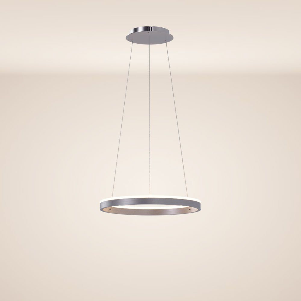 s.luce Pendelleuchte LED Ring Pendelleuchte rund günstig online kaufen