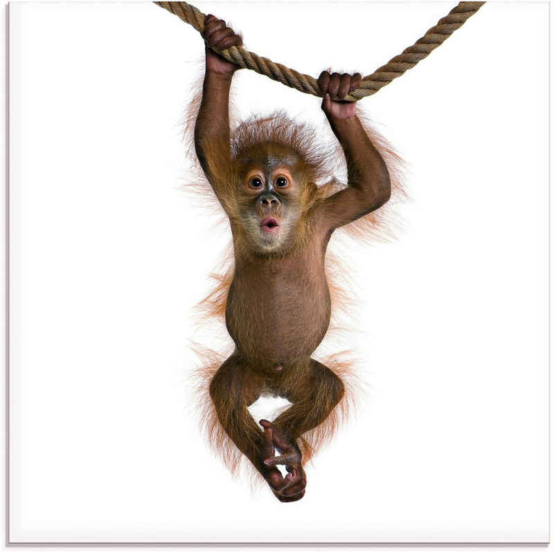 Artland Glasbild Baby Orang Utan hängt an Seil II, Wildtiere (1 St), in verschiedenen Größen