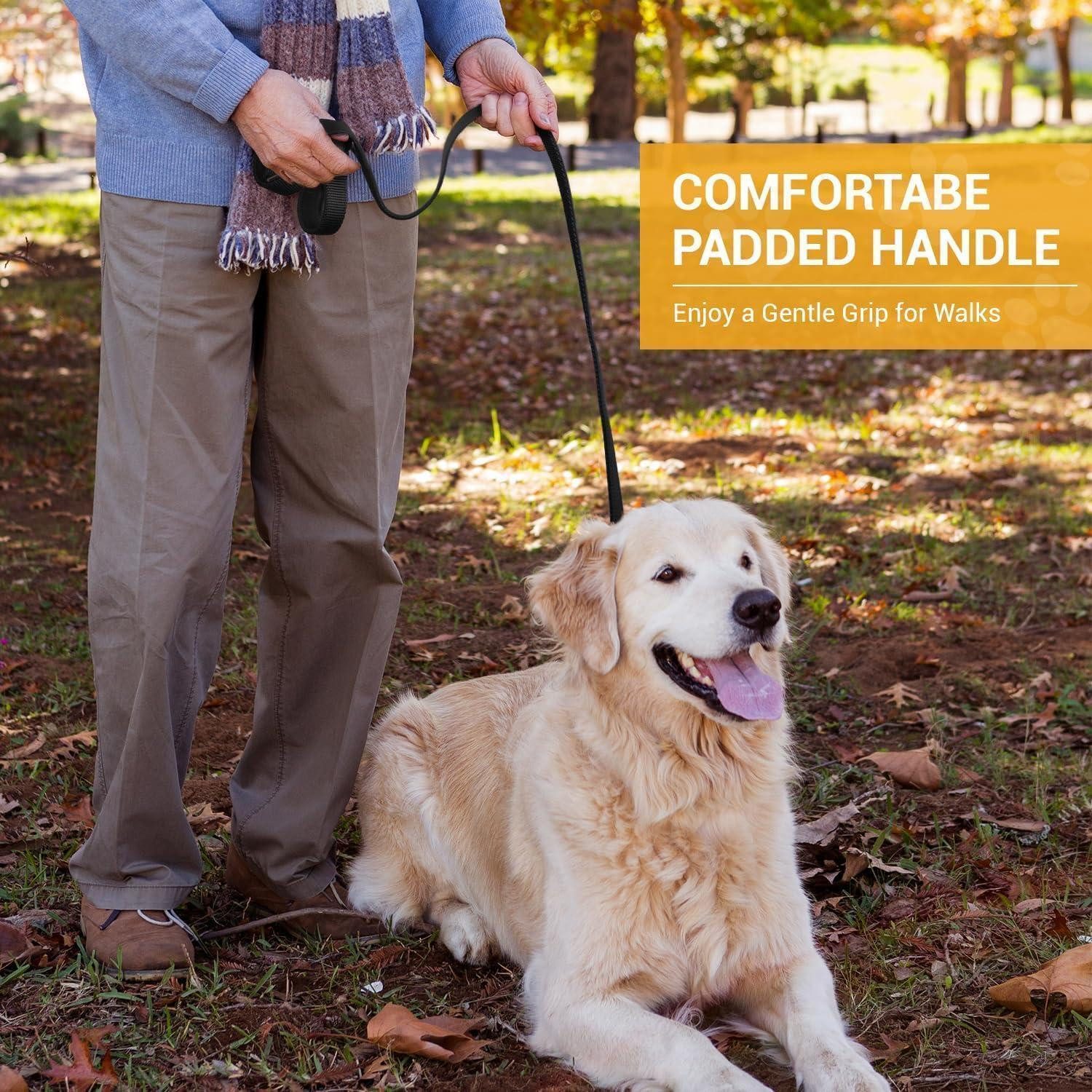 PETCOOZ Schleppleine Hundeleine 3M Verstellbare Schleppleine 2 Karabiner Schwarz