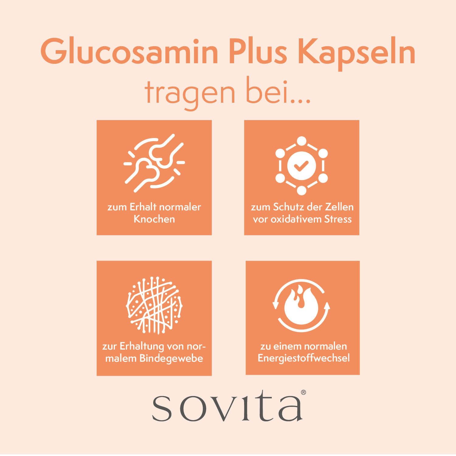 Ascopharm Glucosamin Plus 120 Kapseln mit 525 mg Glucosamin & Chondroitin 1, 1 er