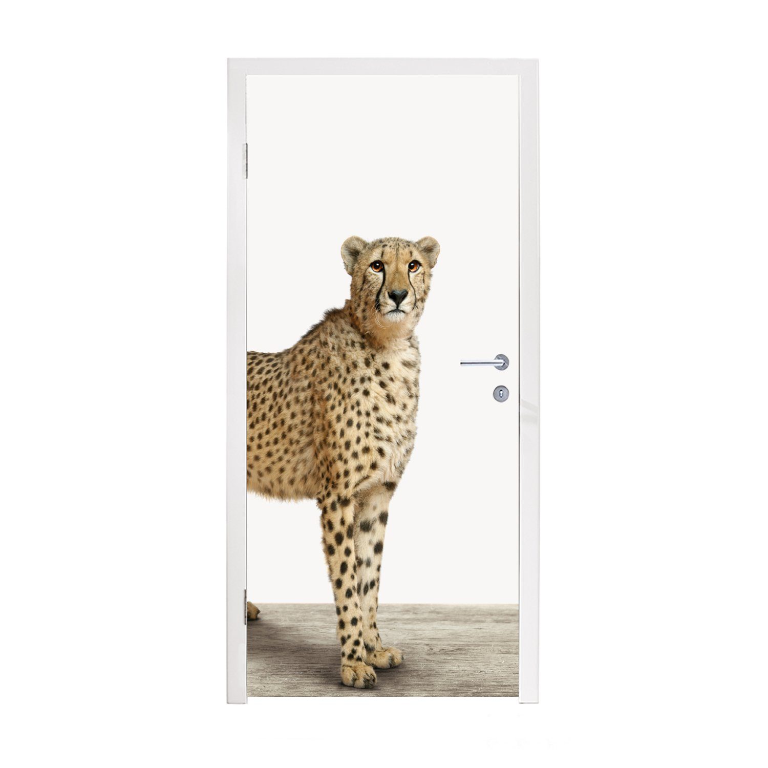 - Kinder (1 Türtapete Hintergrund Leopard Tür, Türaufkleber, - Fototapete - St), - bedruckt, 75x205 Mädchen, für Tiere - Weißer MuchoWow Matt, Jungen cm