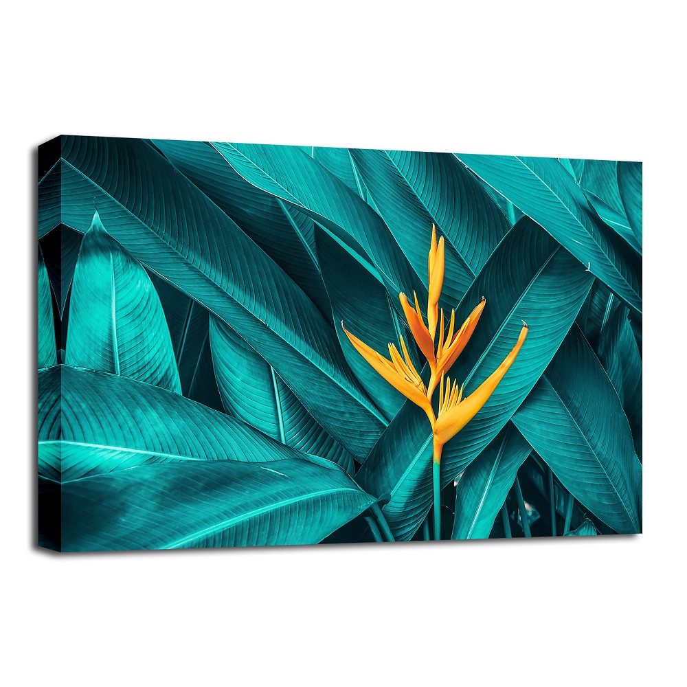 Visario Bild Bild auf Leinwand fertig günstig online kaufen