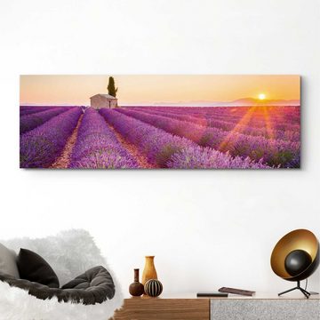 Home affaire Deco-Panel Lavendel Horizont