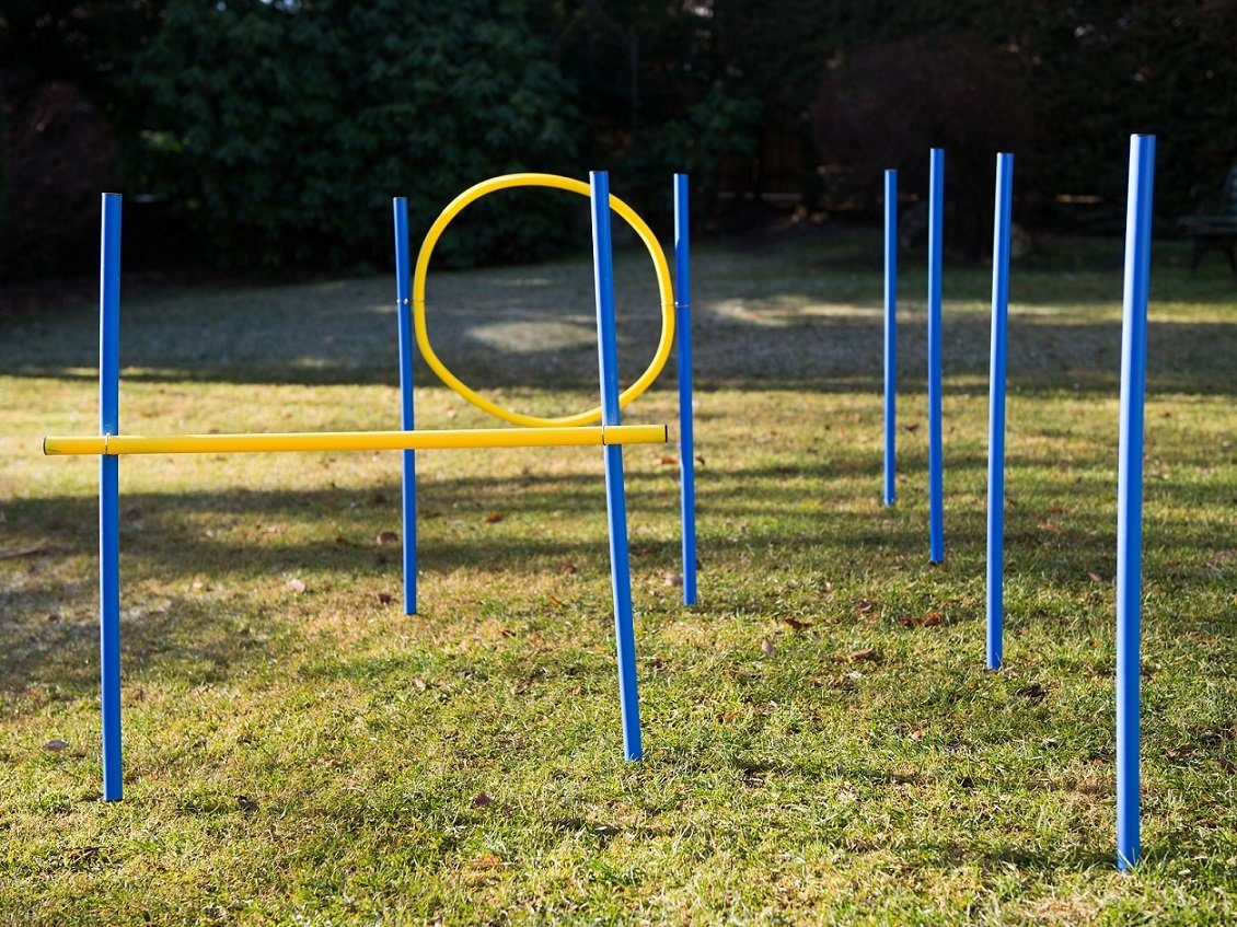 Procyon Agility-Slalom Hundetraining, Hundeparcour, 10 teilig, Slalom-Stangen, Hürde und Ring