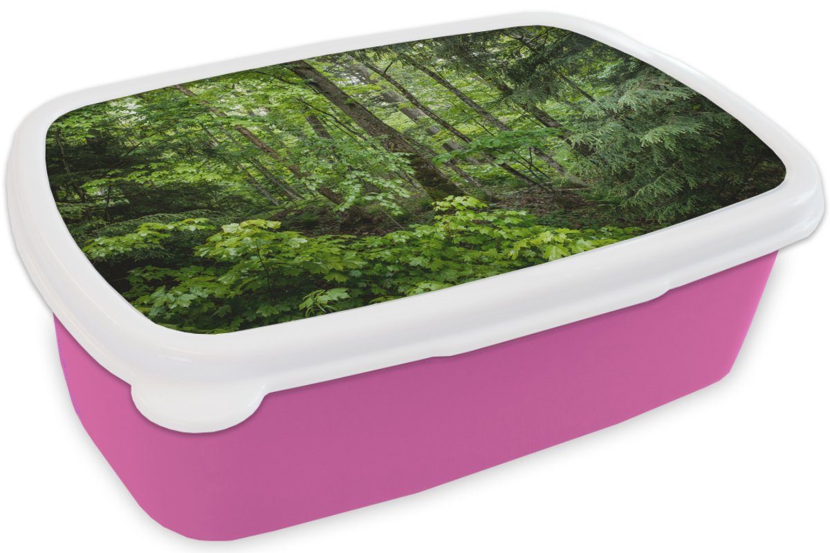 Snackbox, Kunststoff, Baum Kunststoff Kinder, (2-tlg), Brotbox Erwachsene, - für Grün, - Wald MuchoWow Lunchbox Mädchen, Brotdose rosa
