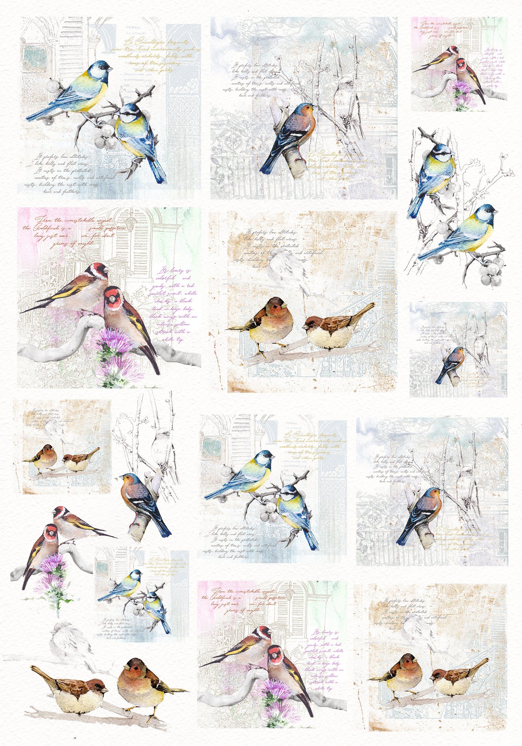 Renkalik Seidenpapier Motiv-Strohseide Vögel, 35 cm x 50 cm