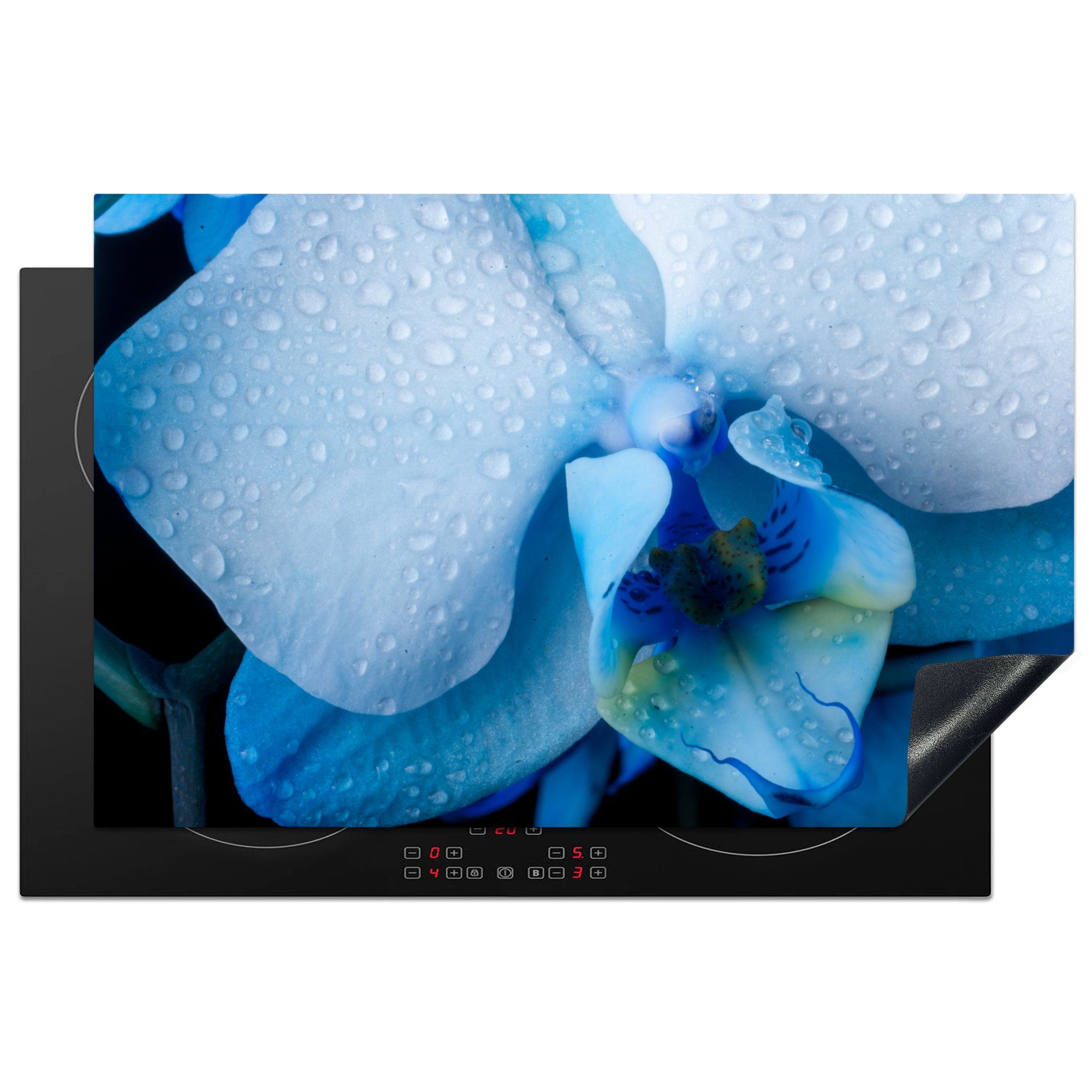 MuchoWow Herdblende-/Abdeckplatte Nahaufnahme einer blauen Orchidee mit hellen Blättern, Vinyl, (1 tlg), 81x52 cm, Induktionskochfeld Schutz für die küche, Ceranfeldabdeckung