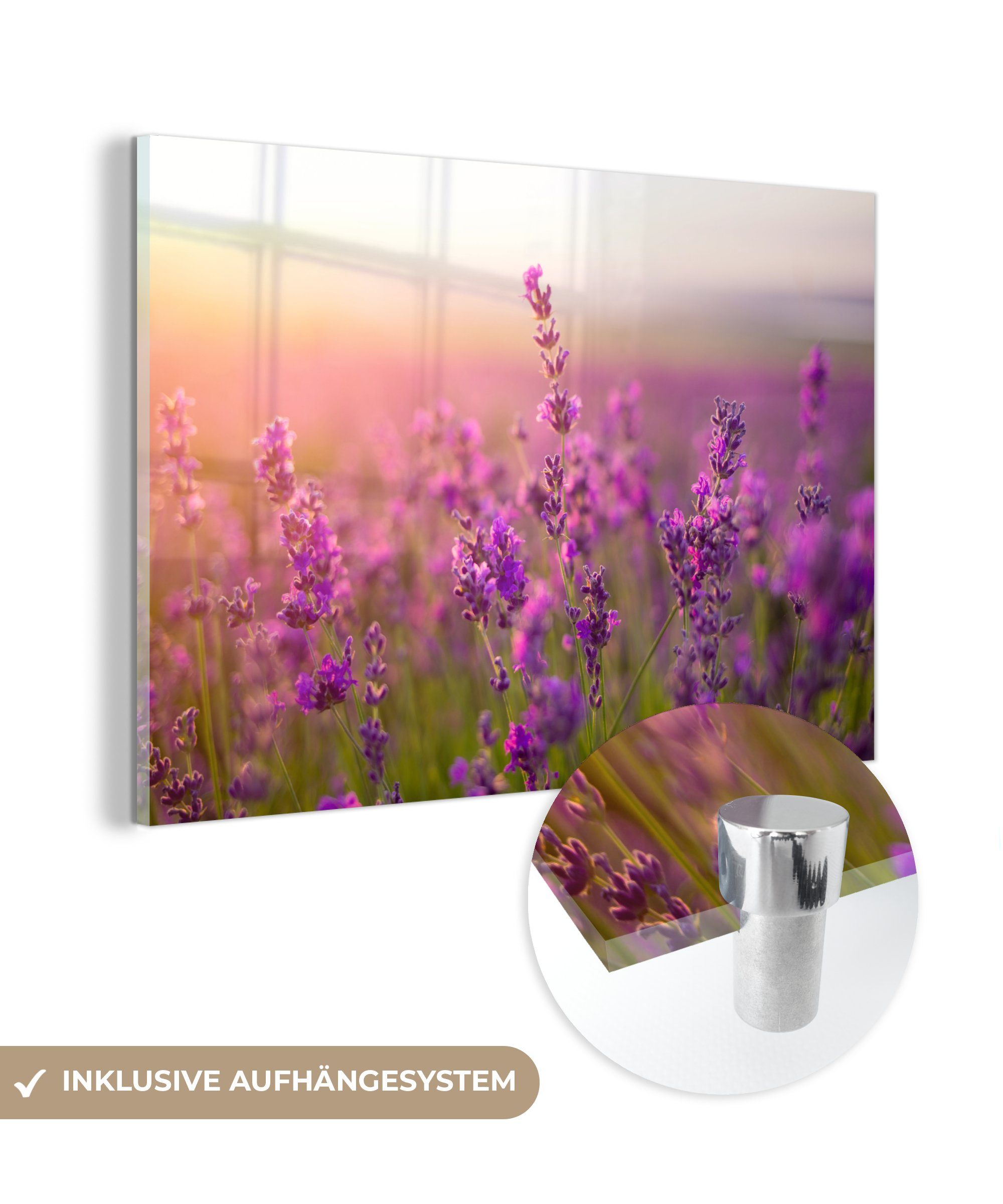 MuchoWow Acrylglasbild Lavendel - Frühling - Lila, (1 St), Acrylglasbilder Wohnzimmer & Schlafzimmer
