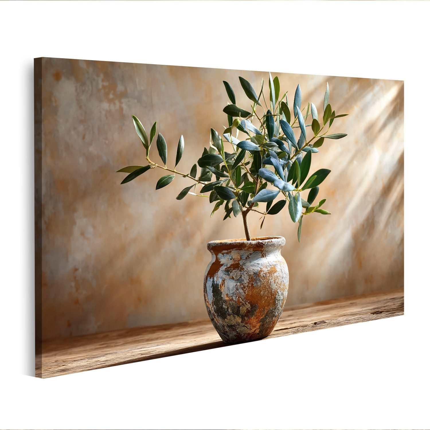 islandburner Leinwandbild Mediterranes Olivenbäumchen Wohnzimmer Dekoration für Naturliebhaber