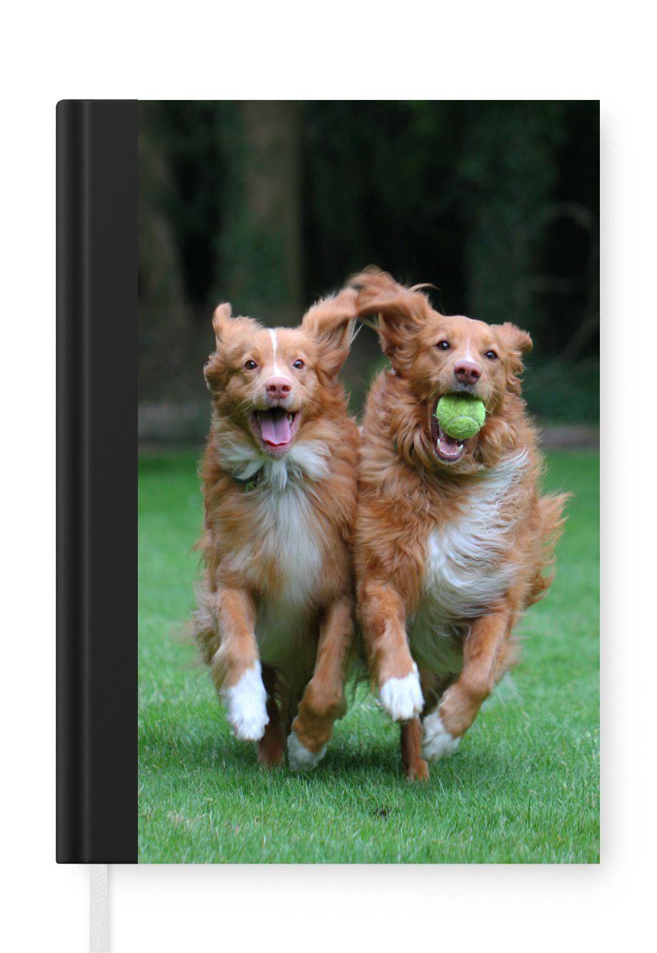 MuchoWow Notizbuch Zwei Hunde spielen mit Ball, Journal, Merkzettel, Tagebuch, Notizheft, A5, 98 Seiten, Haushaltsbuch