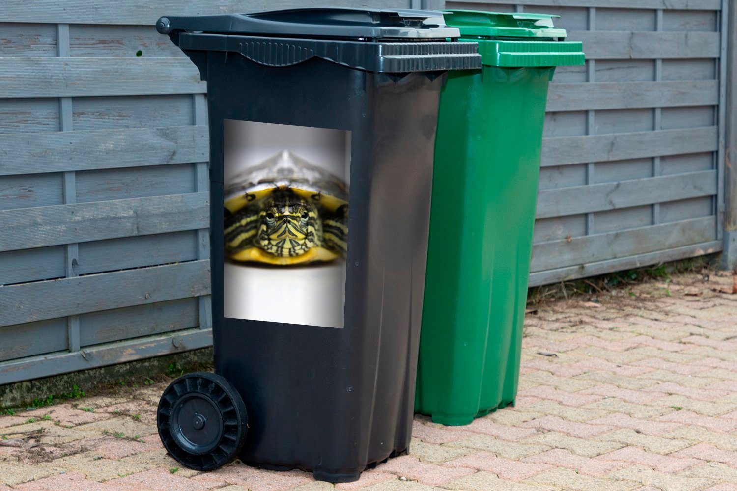 Container, Schildkröte Mülltonne, MuchoWow Wandsticker Abfalbehälter Nahaufnahme Mülleimer-aufkleber, einer St), Sticker, (1
