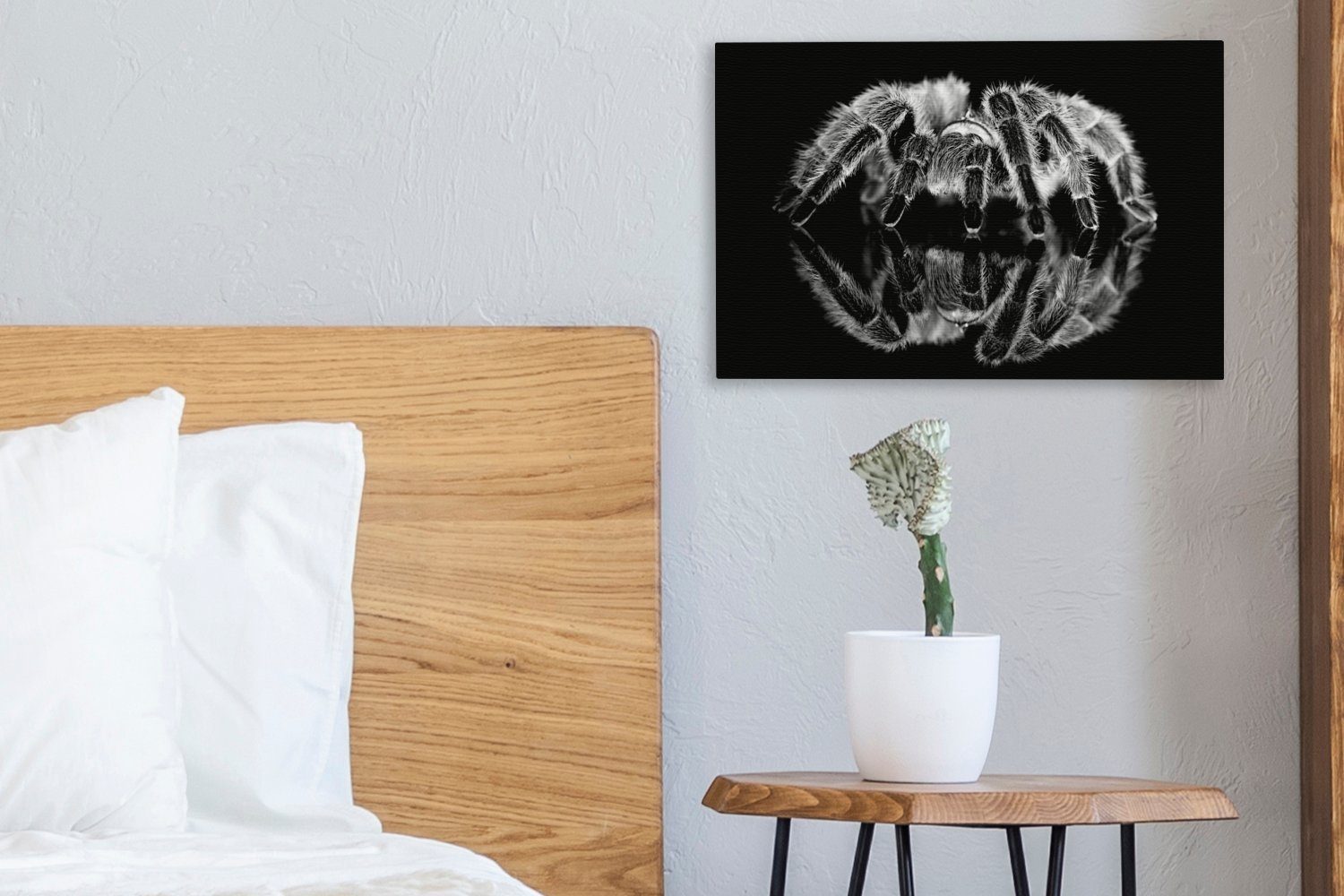 OneMillionCanvasses® Leinwandbild Studioaufnahme einer Leinwandbilder, 30x20 weiß, Wanddeko, schwarz St), und Vogelspinne - (1 Wandbild cm Aufhängefertig