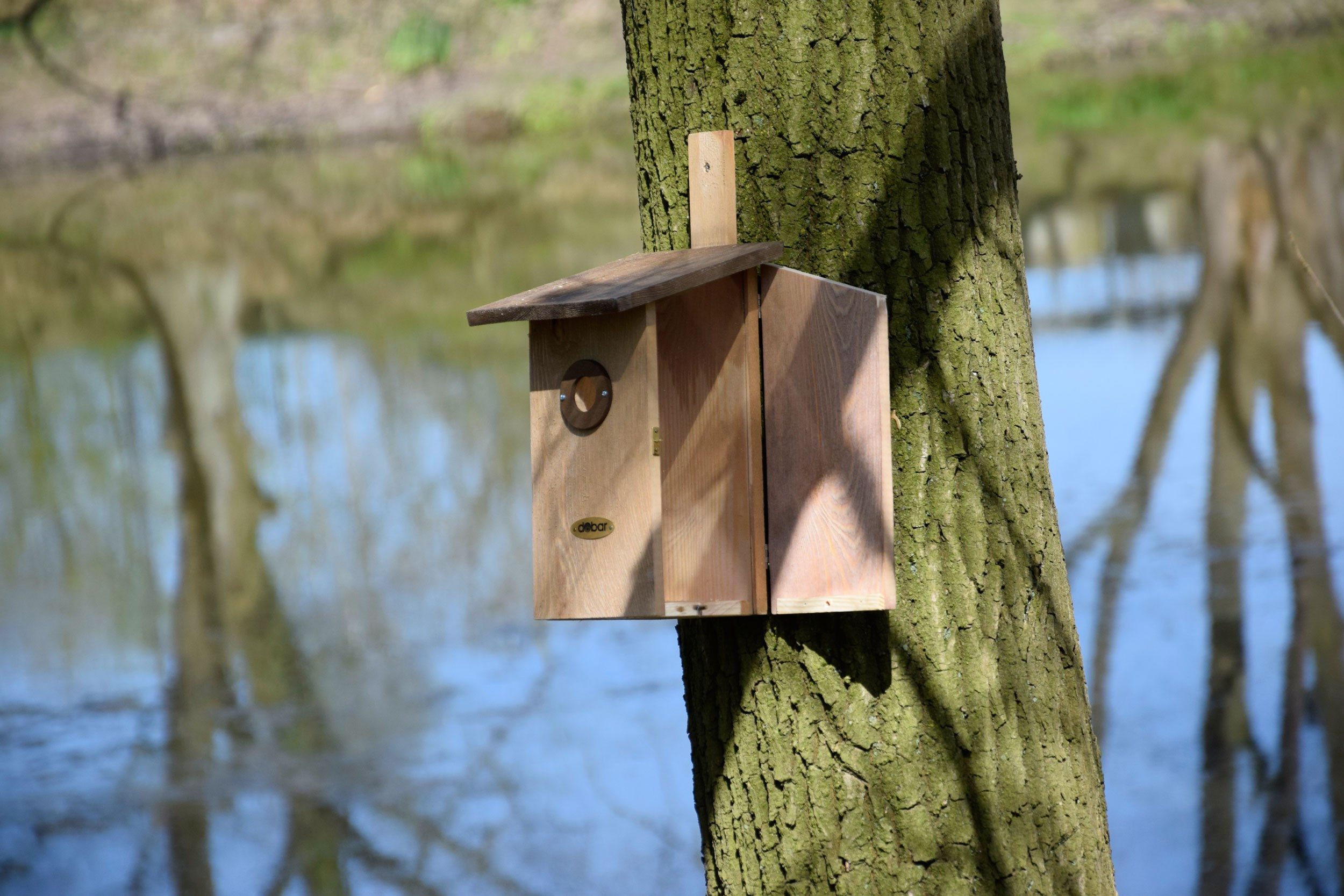 dobar Vogelhaus Beobachtungs-Nistkasten "Einblick",braun