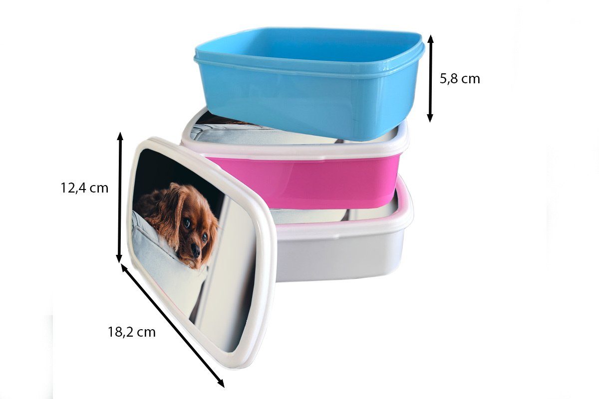 Brotdose Hund Kunststoff, Stuhl Snackbox, Erwachsene, (2-tlg), - - MuchoWow Mädchen, Lunchbox Kopf, rosa Kinder, Kunststoff für Brotbox
