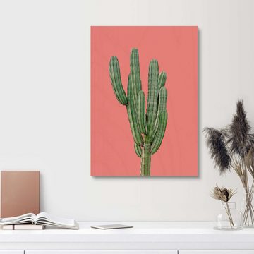 Posterlounge Holzbild Finlay and Noa, Kaktus in Pink, Wohnzimmer Modern Fotografie