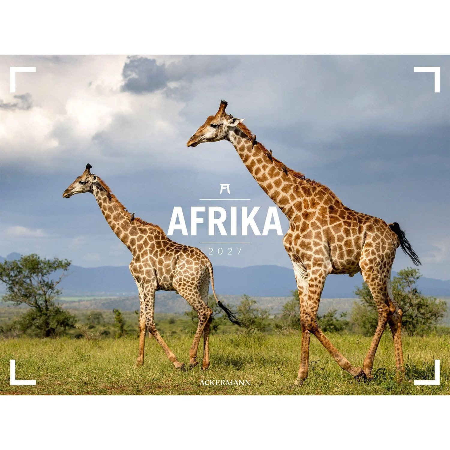 Ackermann Wandkalender Afrika Gallery Kalender 2027