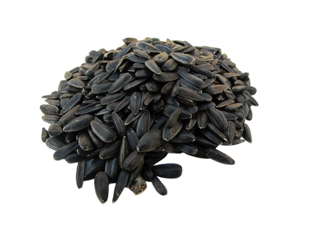 SOLIDE Sonnenblumenkerne schwarz 25kg, Hauptfutter für: Vögel, Wildvögel, Ganzjahresfutter