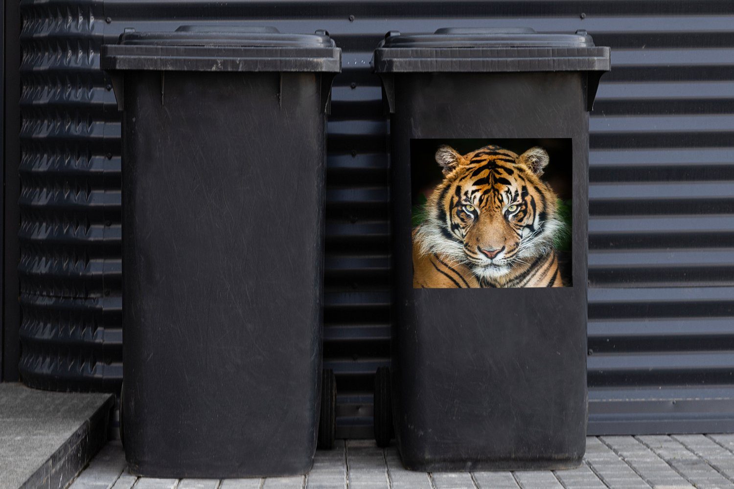 Abfalbehälter Sticker, Schwarz Wandsticker Tiger Mülleimer-aufkleber, MuchoWow Container, (1 Mülltonne, - St),