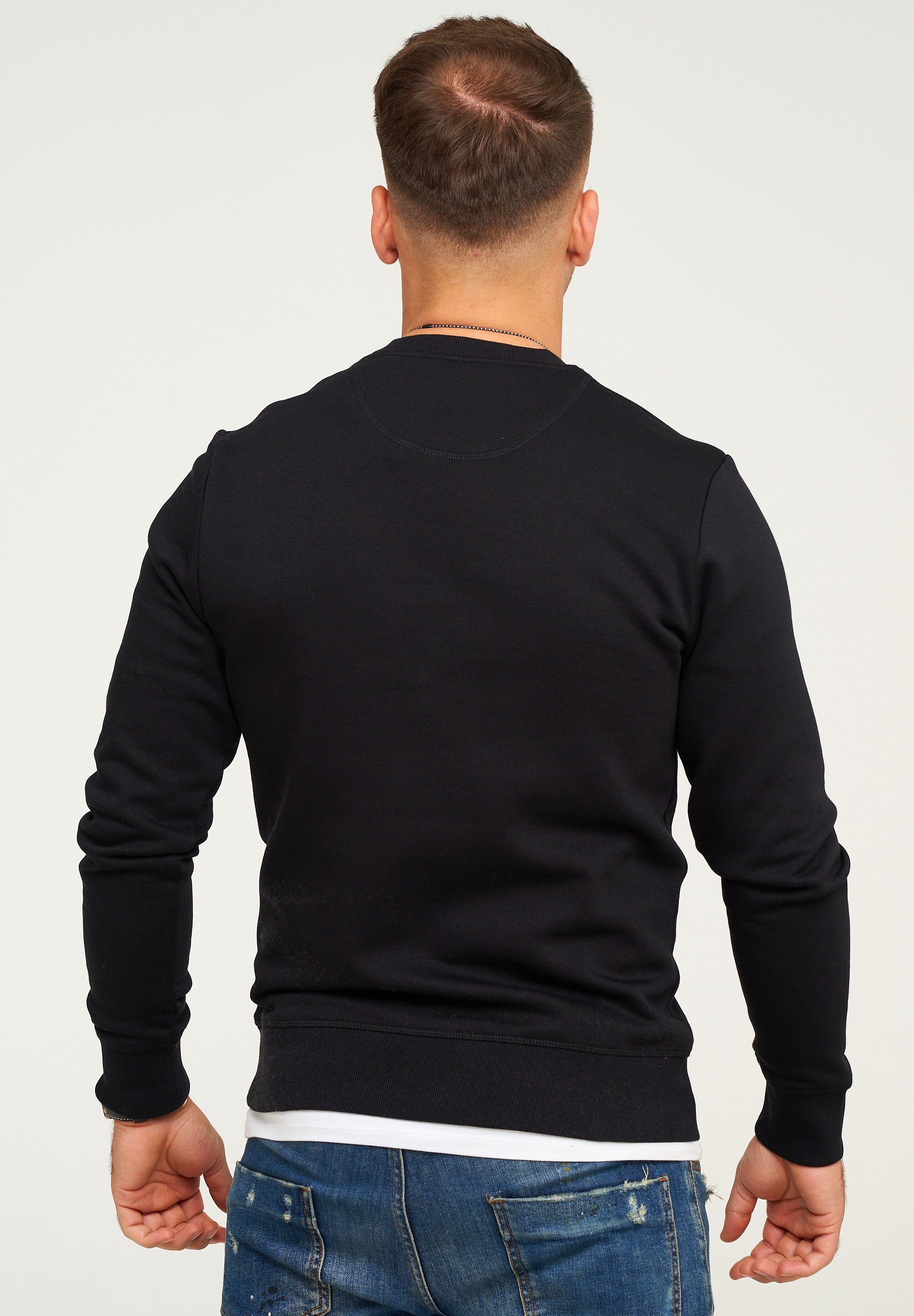 Jack & Jones Sweatshirt POPS SWEAT CREW NECK Sweatpullover Casual Basic Shirt Unifarben Baumwollmischung