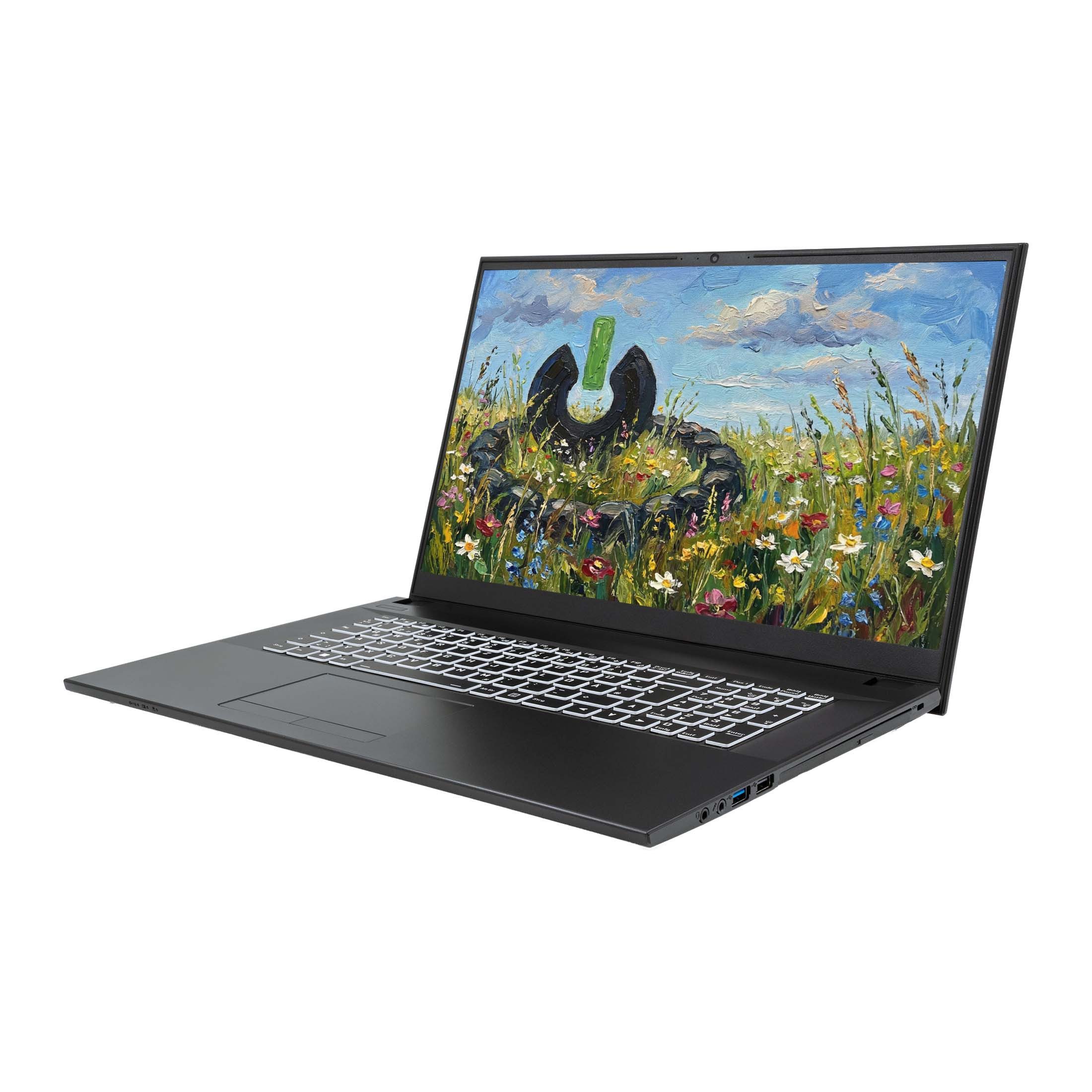 JodaBook C17 Pure - 17,3" Full-HD - Intel Core i7 1255U Notebook (43,95 cm/17,3 Zoll, Intel® Core™ i7 1255U, Iris® X?, 8 GB, 500 GB SSD)
