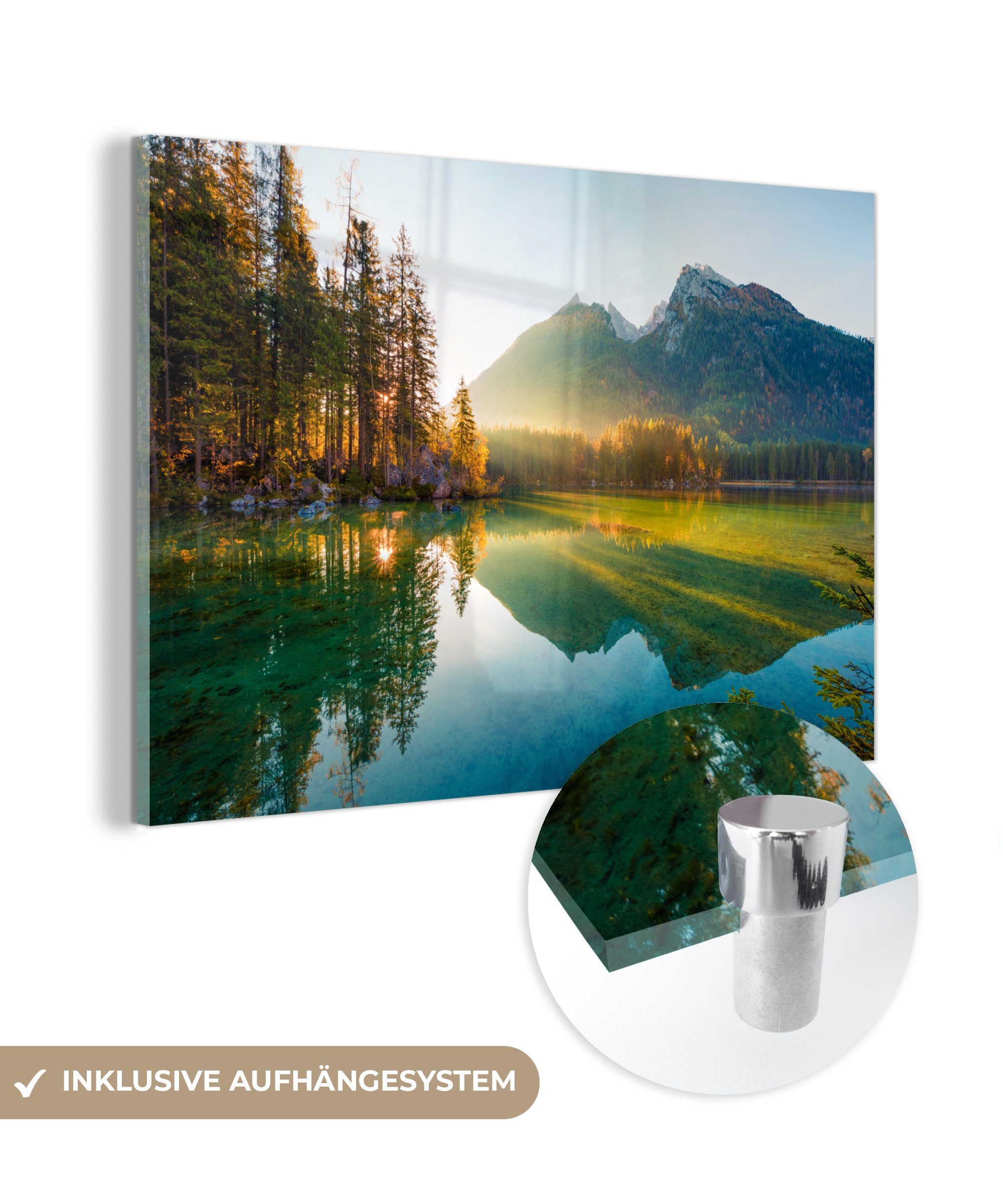 MuchoWow Acrylglasbild See - Wald - günstig online kaufen