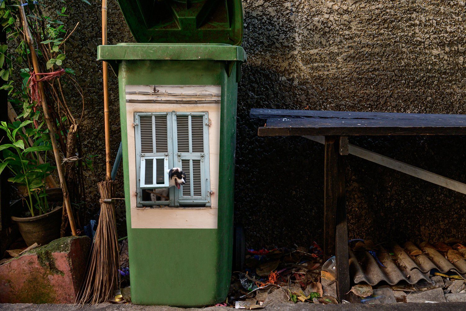 MuchoWow St), eine Abfalbehälter Sticker, Mülleimer-aufkleber, Mülltonne, (1 Container, Hund durch schaut Wandsticker Luke