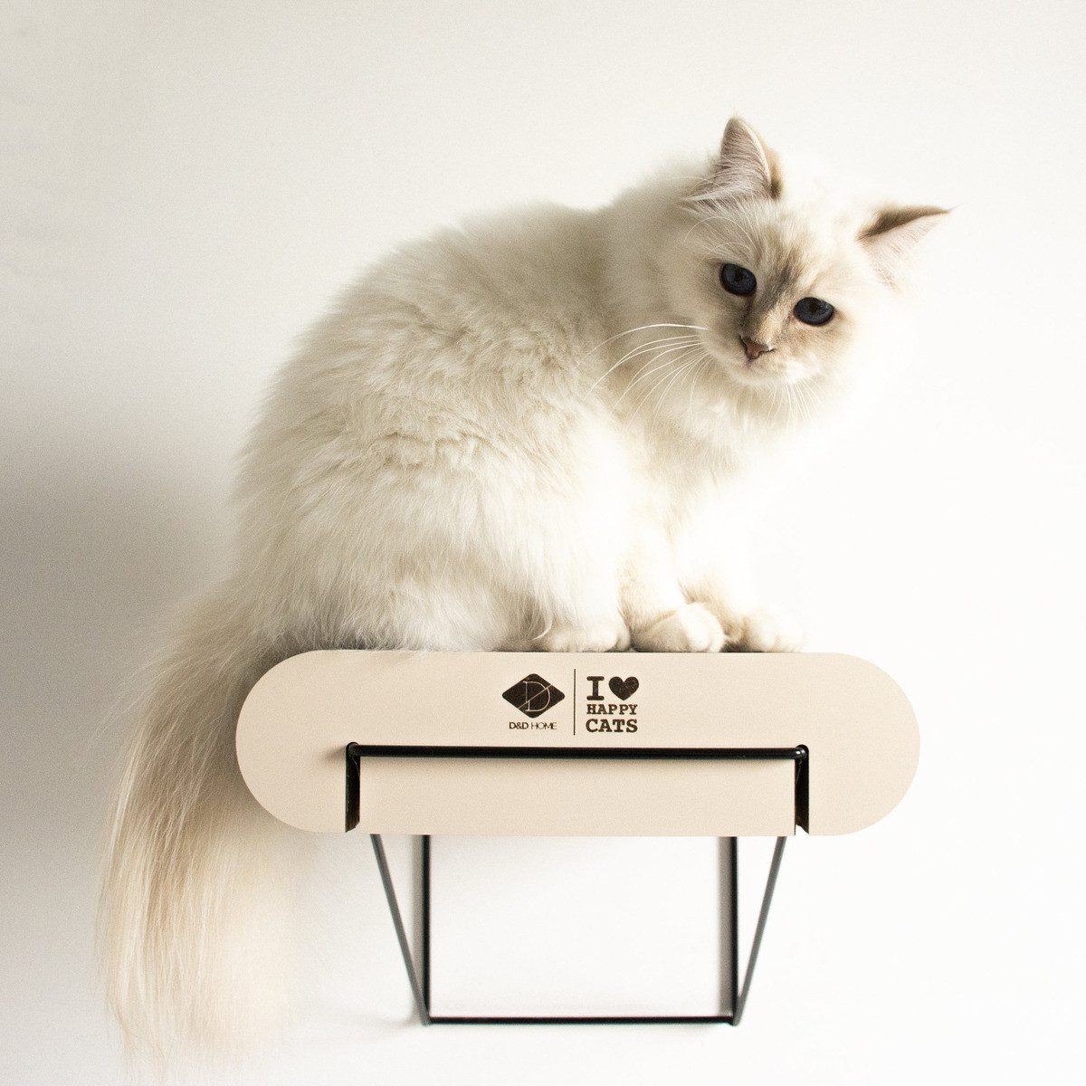 D&D Kratzbrett Wandregal I Love Happy Cats David aus Pappe braun/beige