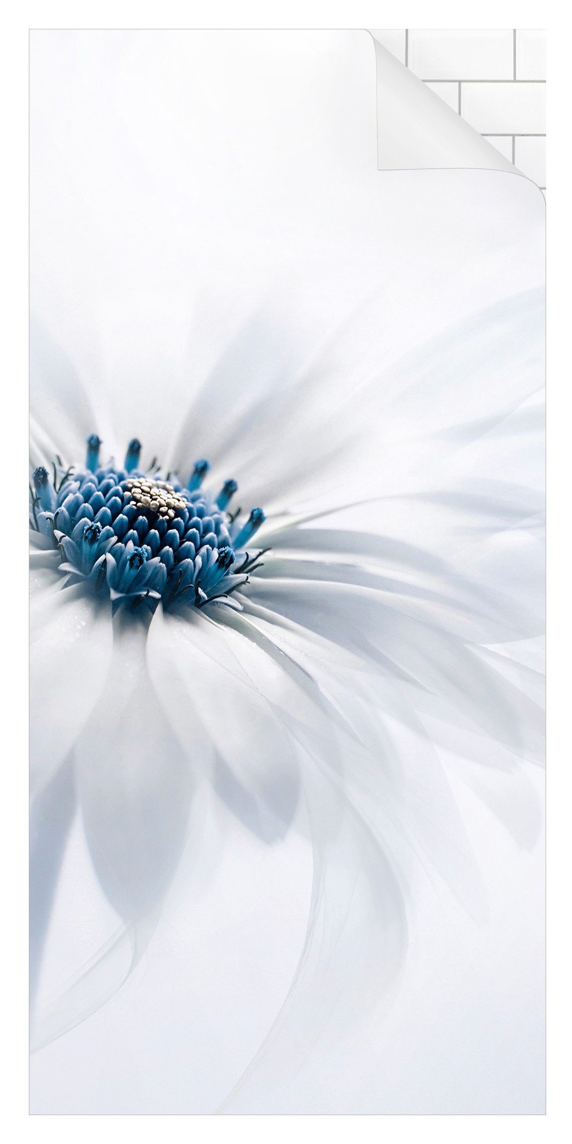 Bilderdepot24 Duschrückwand Blumen weiß Duschrückwand ohne Bohren Dusche Fliesenersatz, (1-tlg., 0,61 mm starke Folie selbstklebend Wandpaneele Dusche versch. Größen), fugenlose & wasserfeste Motiv Rückwand Wandverkleidung für Duschkabine