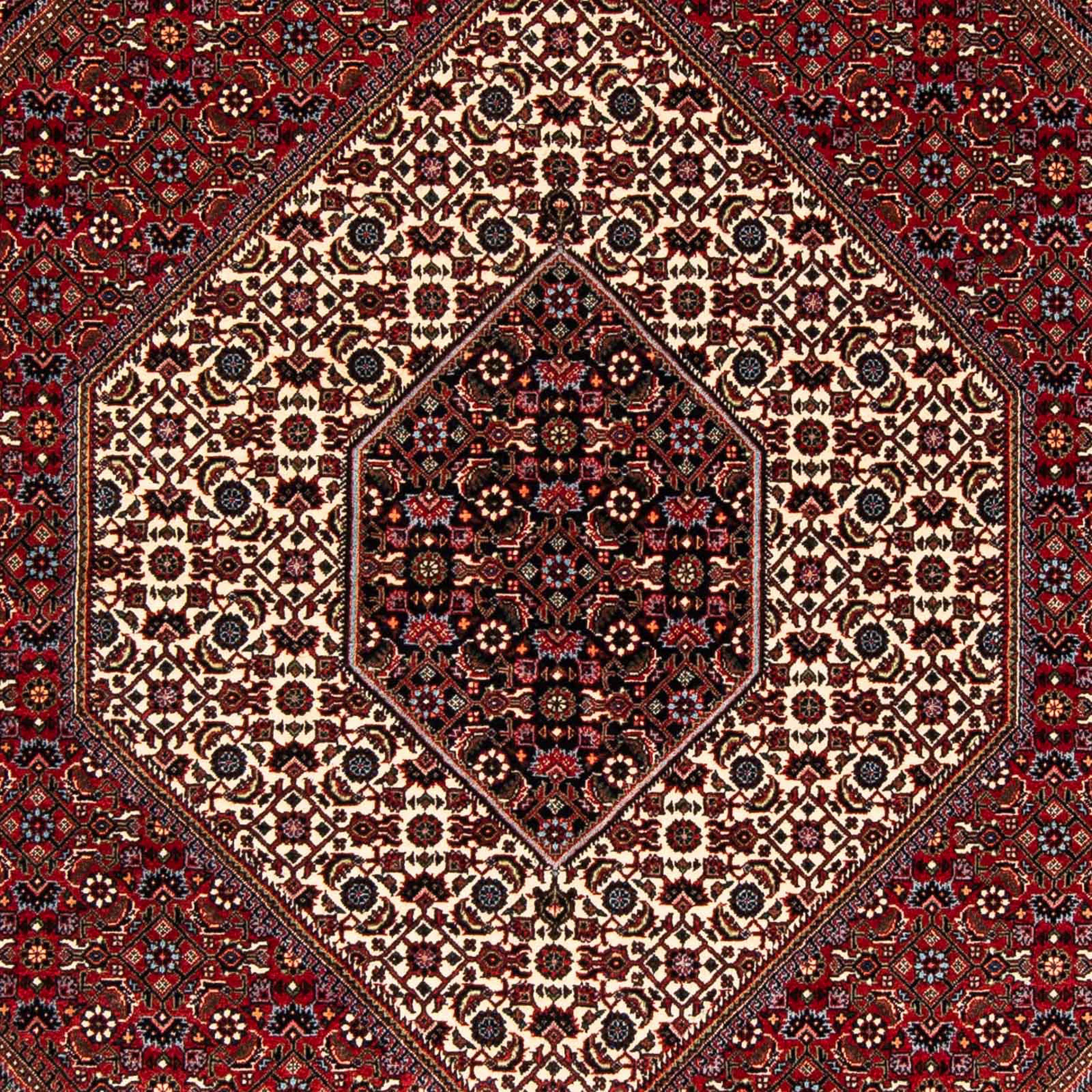 Orientteppich Perser - Bidjar - rechteckig, cm Handgeknüpft, Wohnzimmer, mm, 245 x Höhe: - mit Einzelstück morgenland, Zertifikat 172 15 dunkelrot