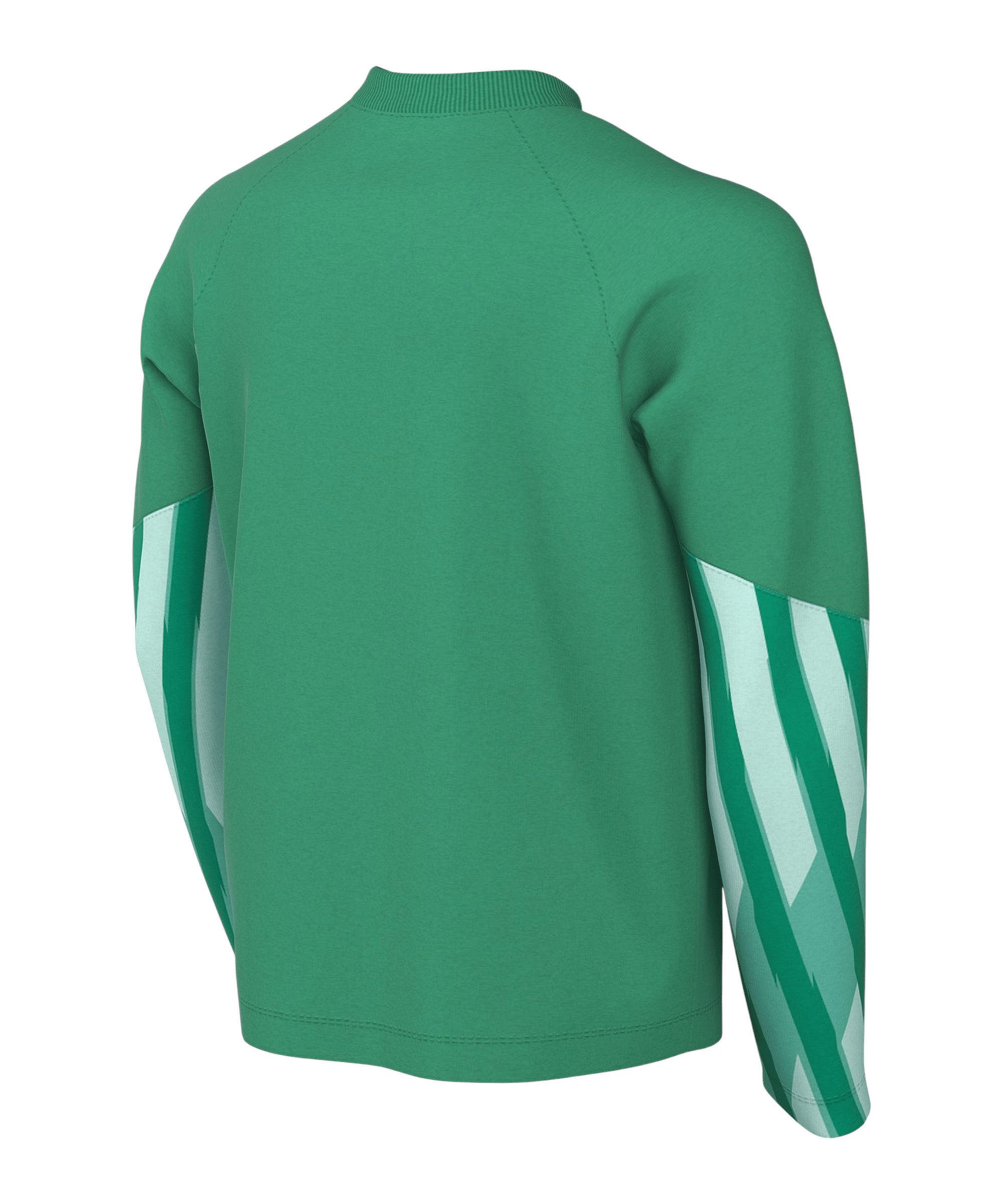 Nike Fußballtrikot Nike Performance Park V Trikot langarm Kids Teamsport