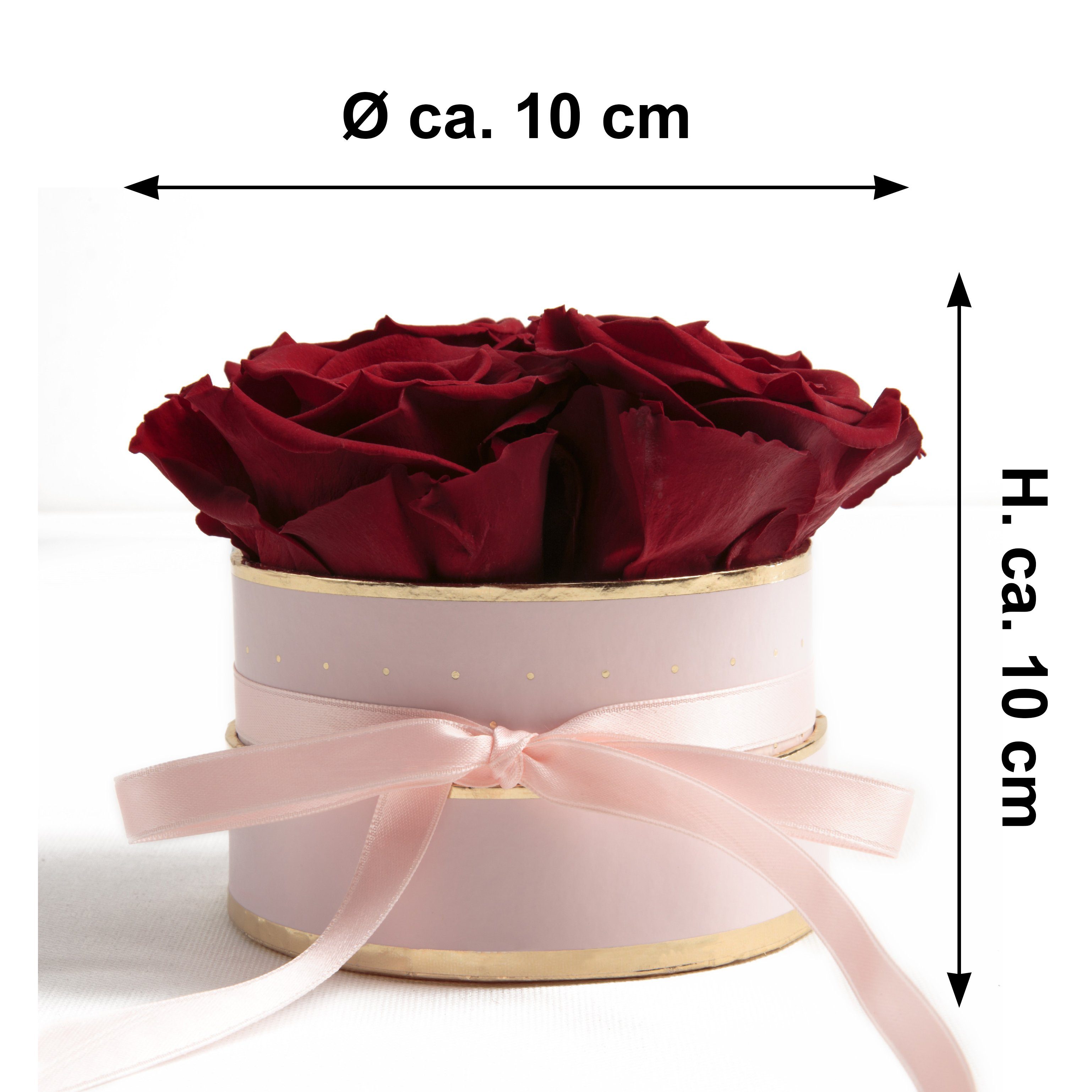 ROSEMARIE Infinity SCHULZ Höhe konservierte Kunstblume cm, echte Rosen Heidelberg, Rose, 4 Rosenbox rund Frauen für Geschenk 10 konservierte Burgundy rosa Rosen