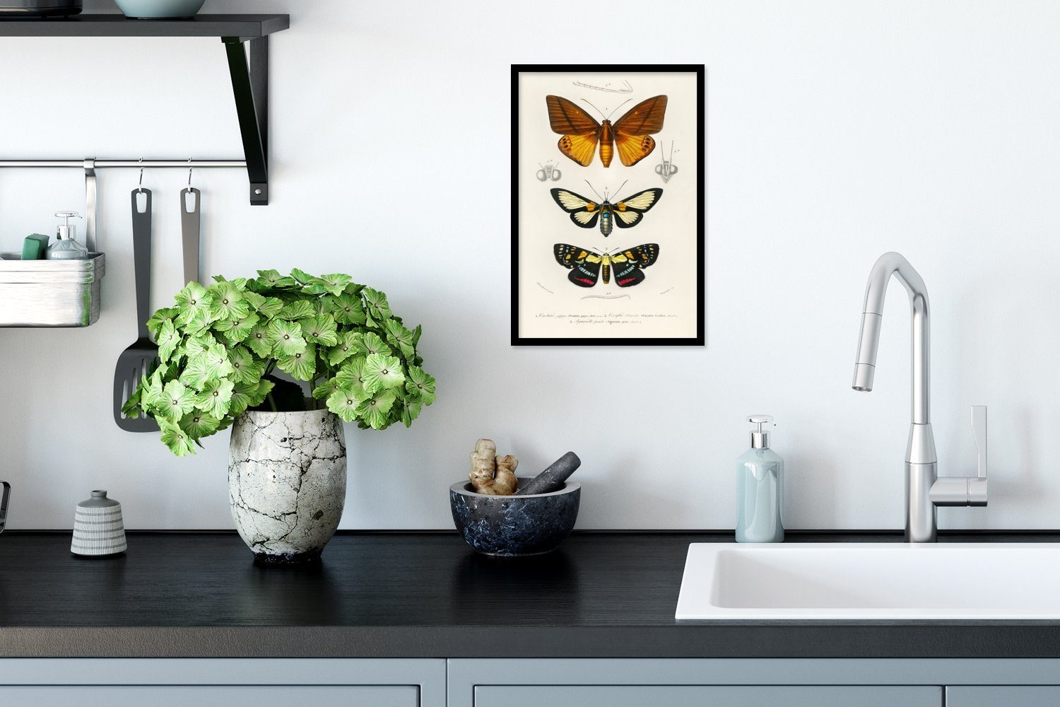 Wandposter, Poster - Bilder, (1 - Vintage Insekten, Wanddeko, MuchoWow Schmetterling Bilderrahmen Gerahmtes Poster, St), Schwarzem