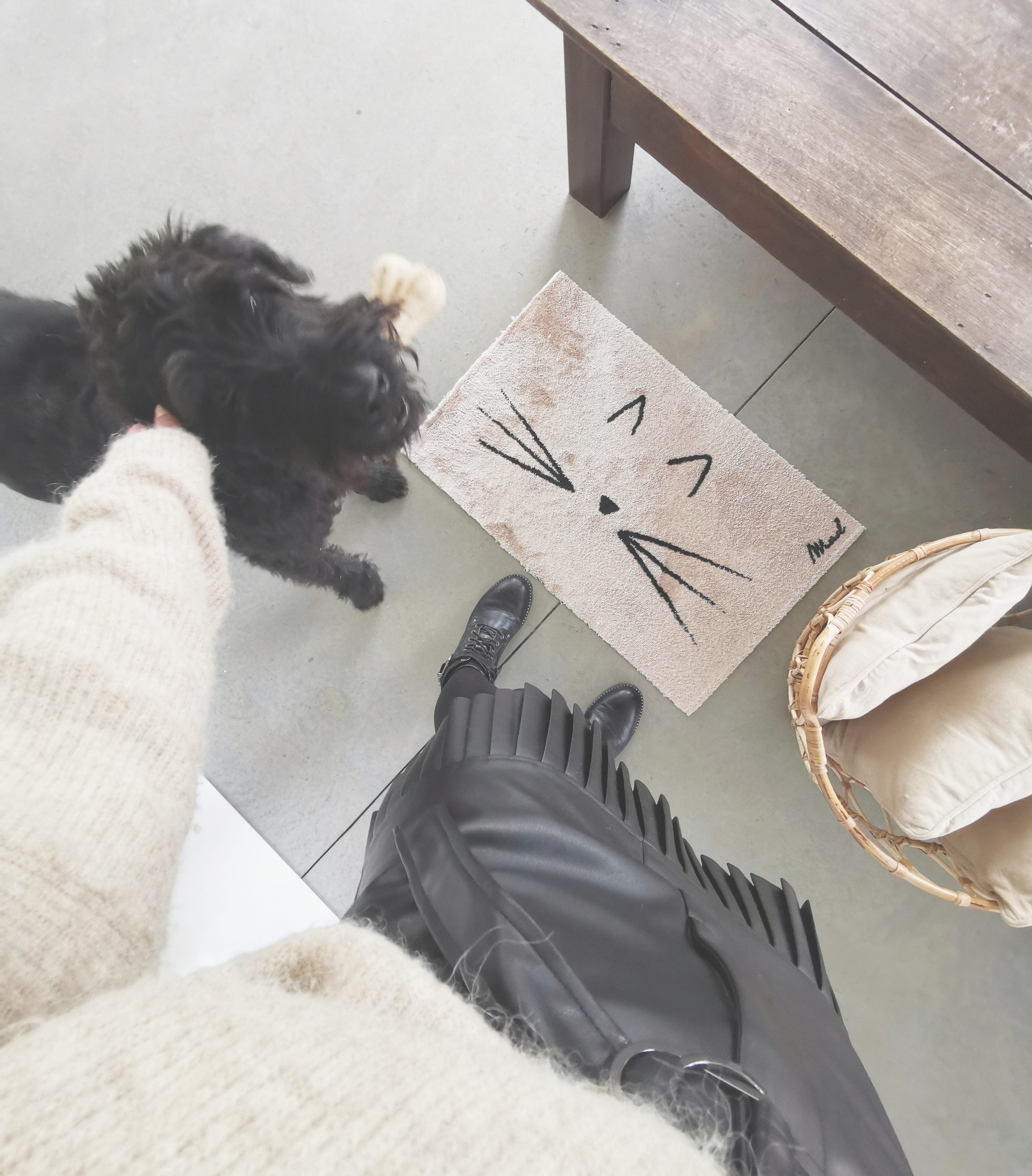 Mad about Mats Fußmatte Dori, Rechteckig, Türvorleger, Vorleger, Läufer, Innenbereich, Tiermotiv, Katze, Beige, niedlich, rutschfest, waschbar, weich, 50 x 75 cm