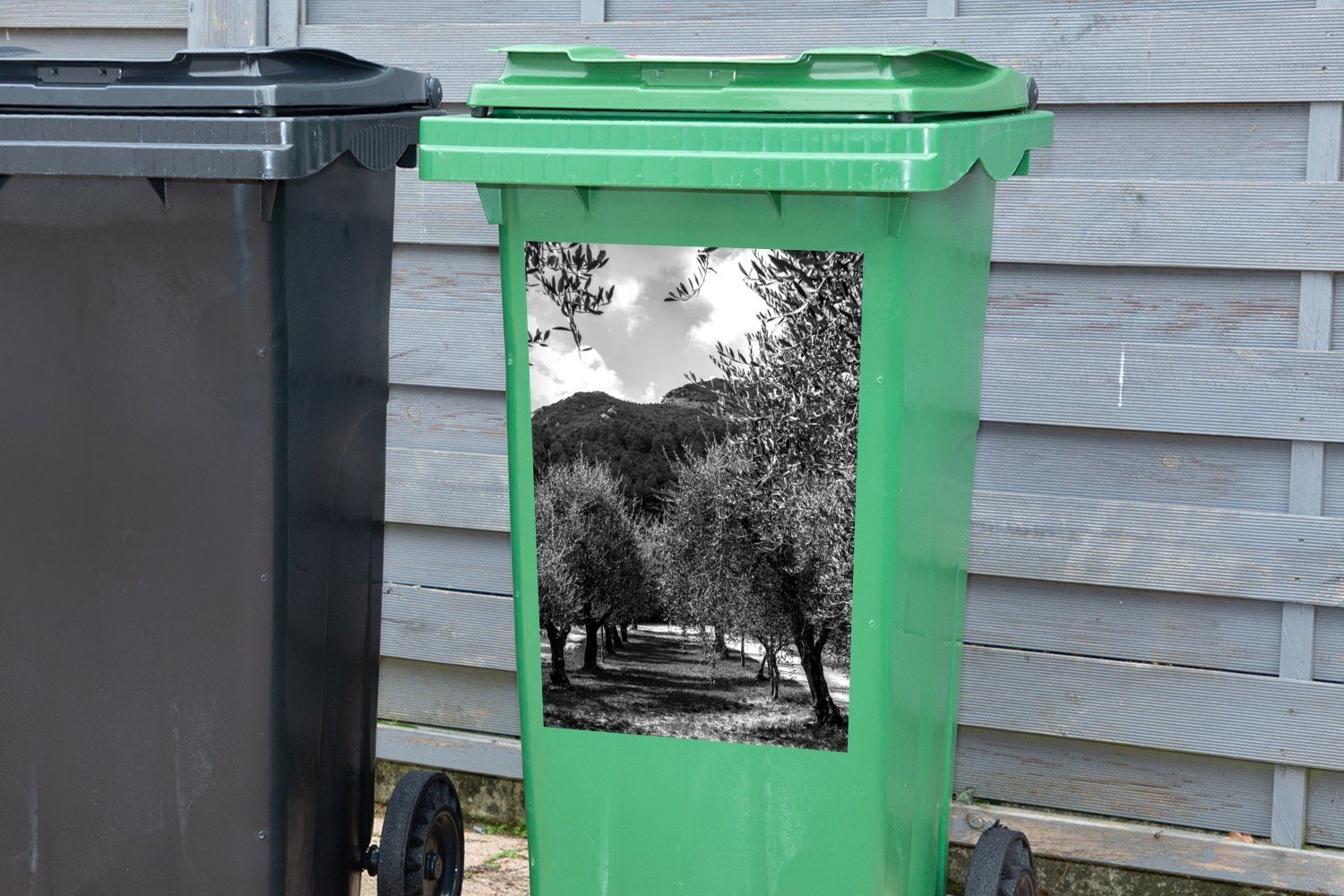 Eine Wandsticker schwarz Abfalbehälter italienischen Allee Container, MuchoWow Sticker, Mülleimer-aufkleber, St), weiß und von Olivenbäumen - (1 Mülltonne,