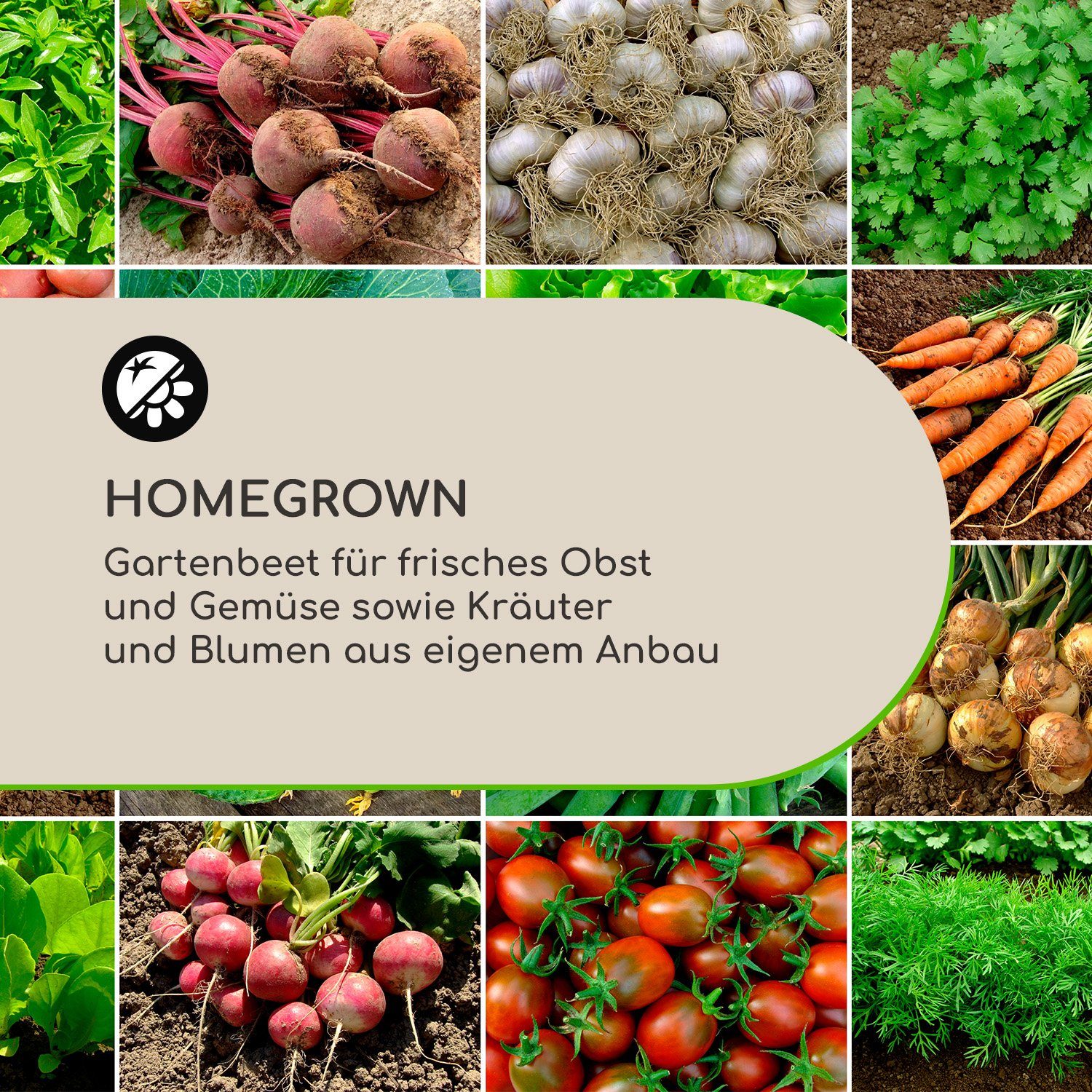 blumfeldt Hochbeet Nova Grow