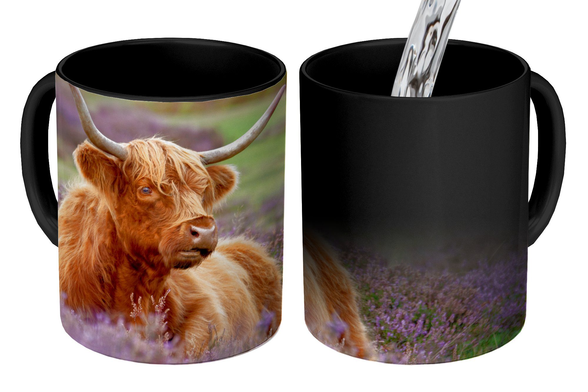 MuchoWow Tasse Schottischer Highlander Kaffeetassen, - Keramik, Geschenk Farbwechsel, - Licht, Zaubertasse, Teetasse, Blumen
