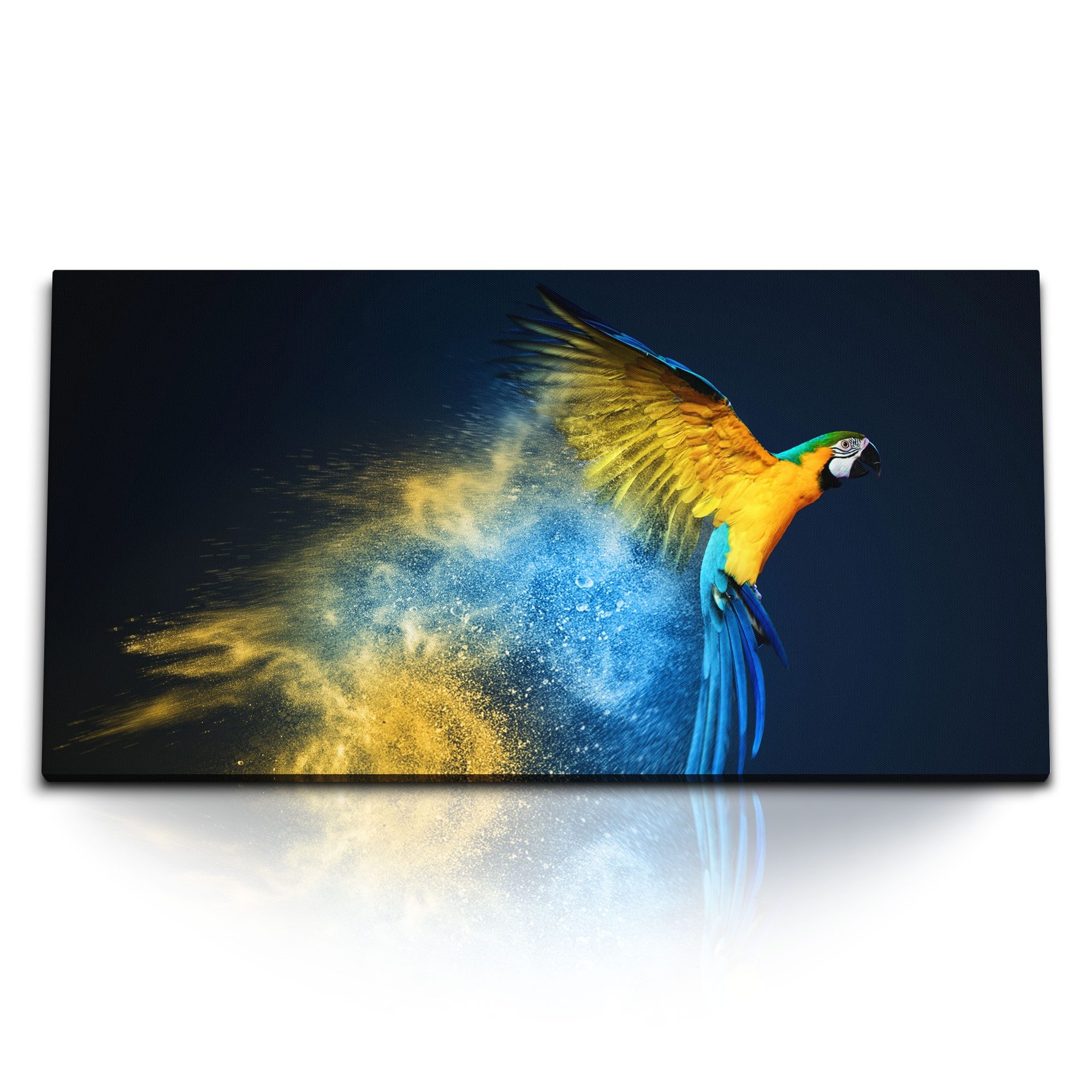 Leinwandbild Kunstdruck Bilder 120x60cm Papagei Bunt Kunstvoll Tierfotografie Farbe