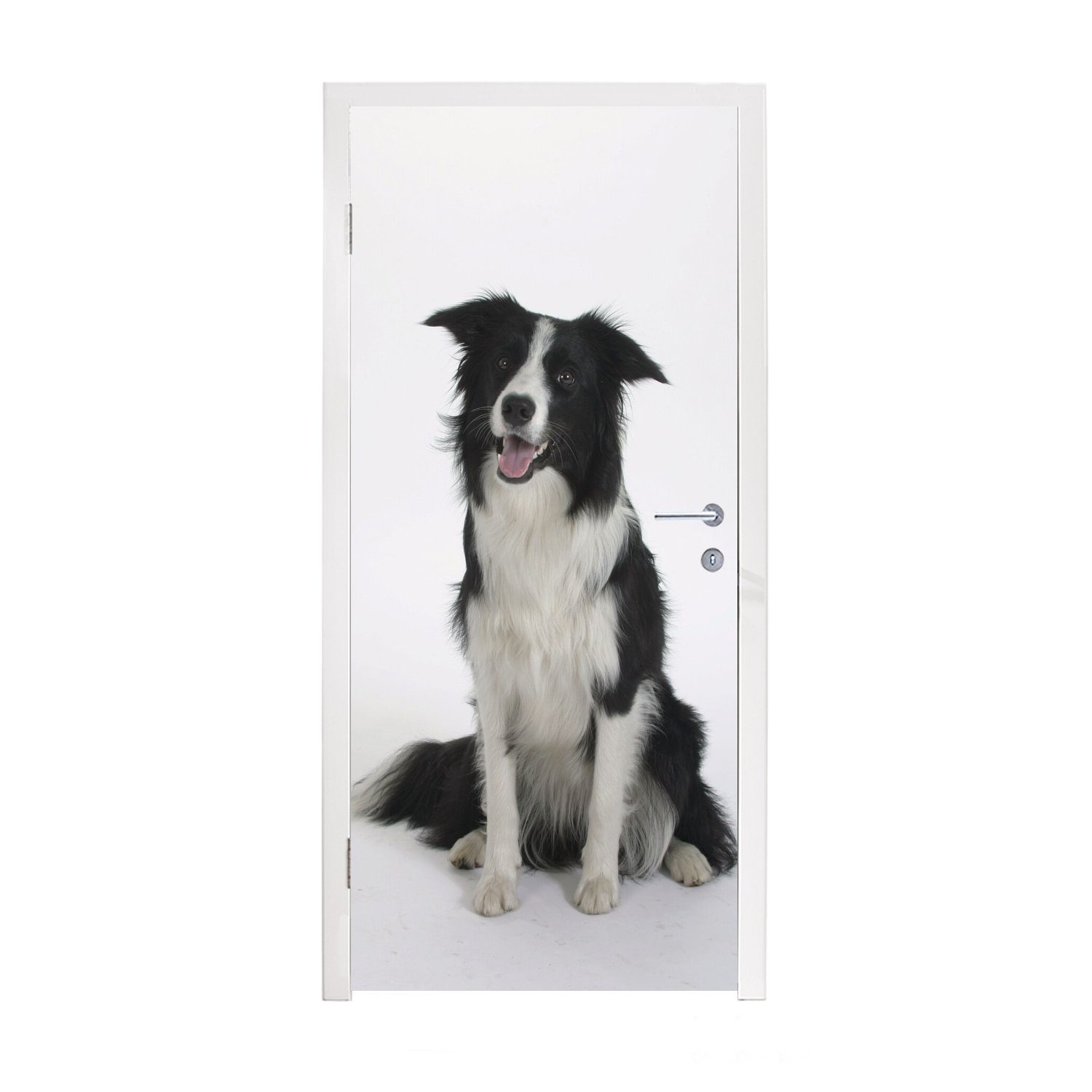 MuchoWow Türtapete Porträt eines wohlerzogenen Border Collie im Sitzen, Matt, bedruckt, (1 St), Fototapete für Tür, Türaufkleber, 75x205 cm