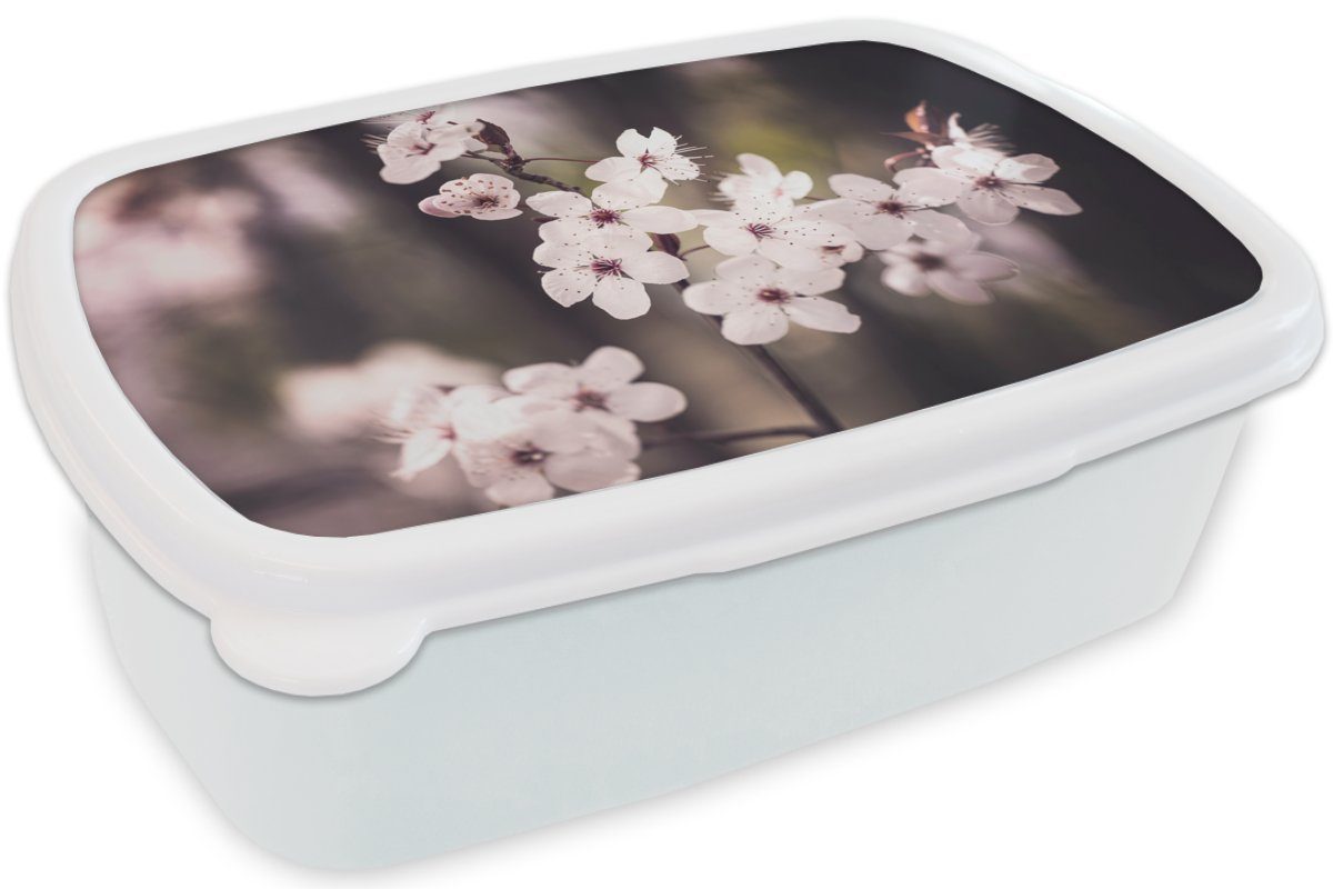 Weiß und (2-tlg), - Natur für und - Pflanze Erwachsene, Blumen Blüte, Lunchbox - - Brotbox Kinder Jungs Mädchen MuchoWow Kunststoff, für Brotdose,