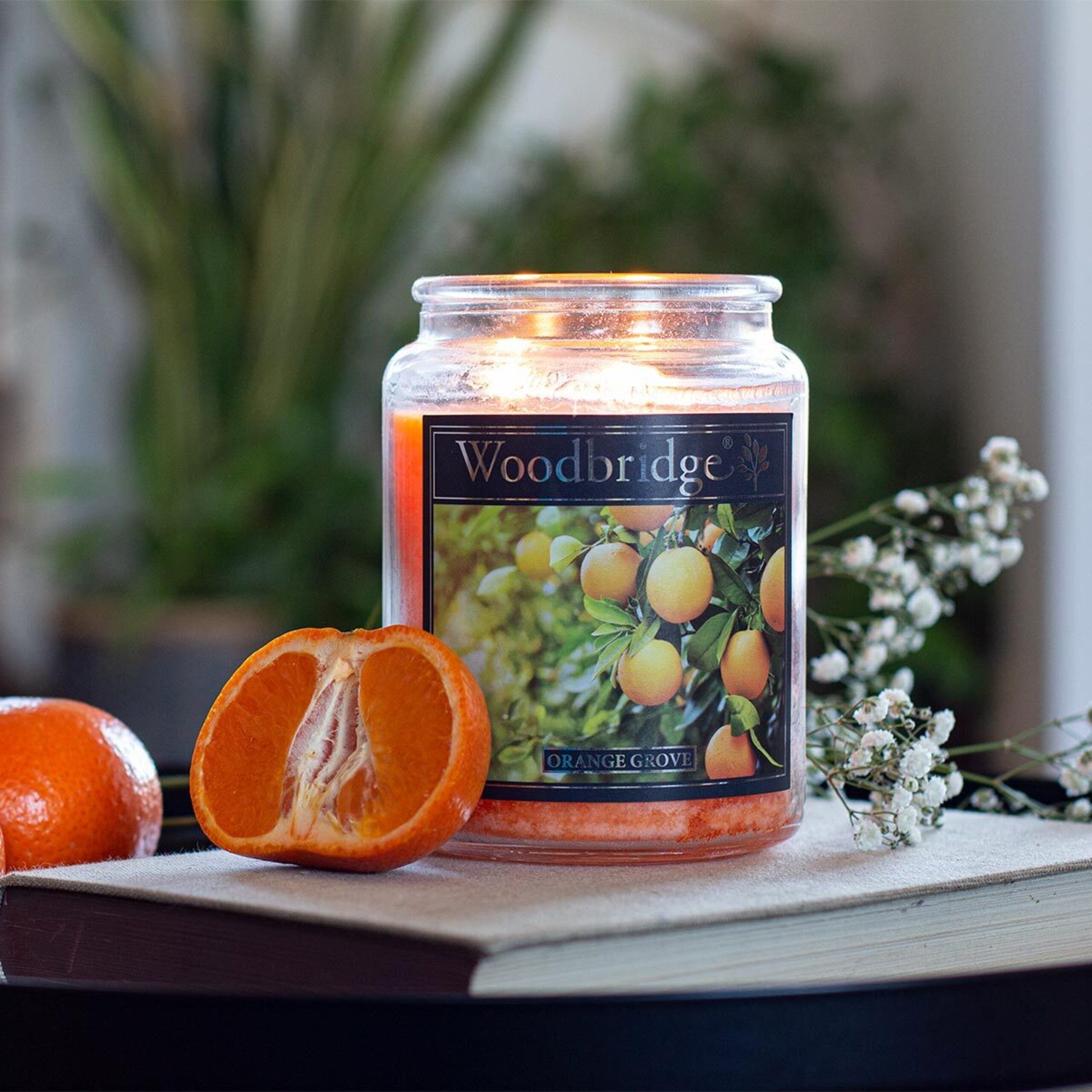 Woodbridge Duftkerze Woodbridge Duftkerze, Orange Grove günstig online kaufen