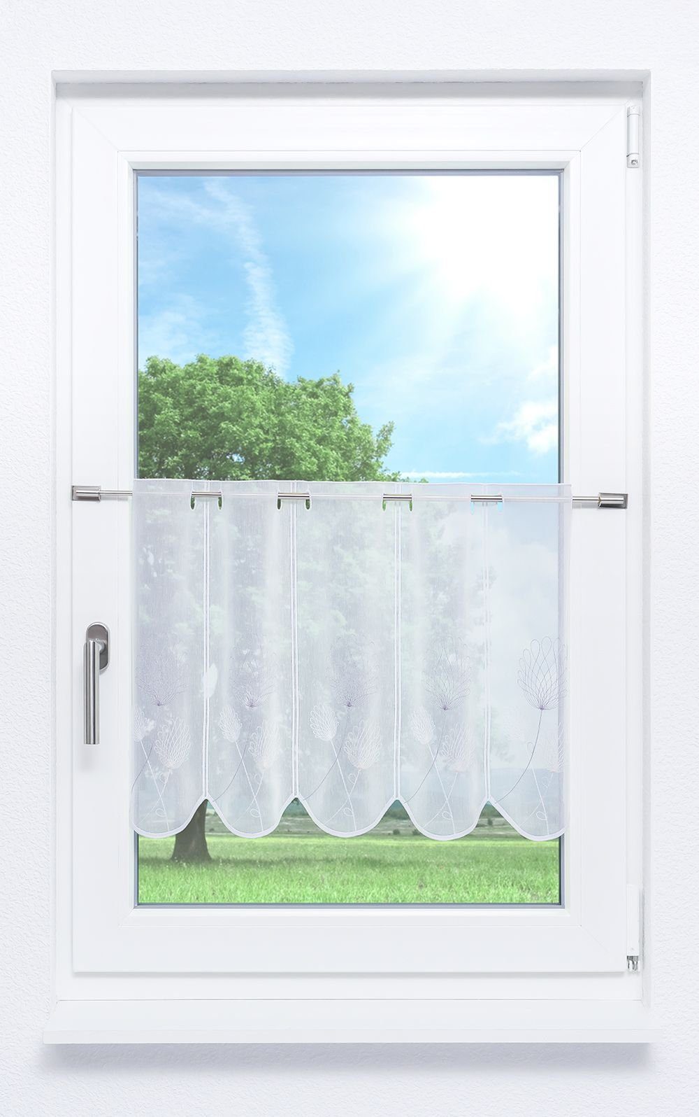 LYSEL® Scheibengardine Allium, (1 St), transparent, günstig online kaufen