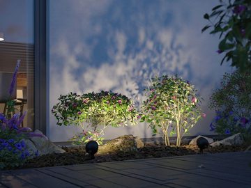 Paulmann LED Gartenleuchte Outdoor Plug & Shine Spot Kikolo 20° 3000K anthrazit, LED fest integriert, Warmweiß, Outdoor Plug & Shine Spot Kikolo 20° 3000K anthrazit