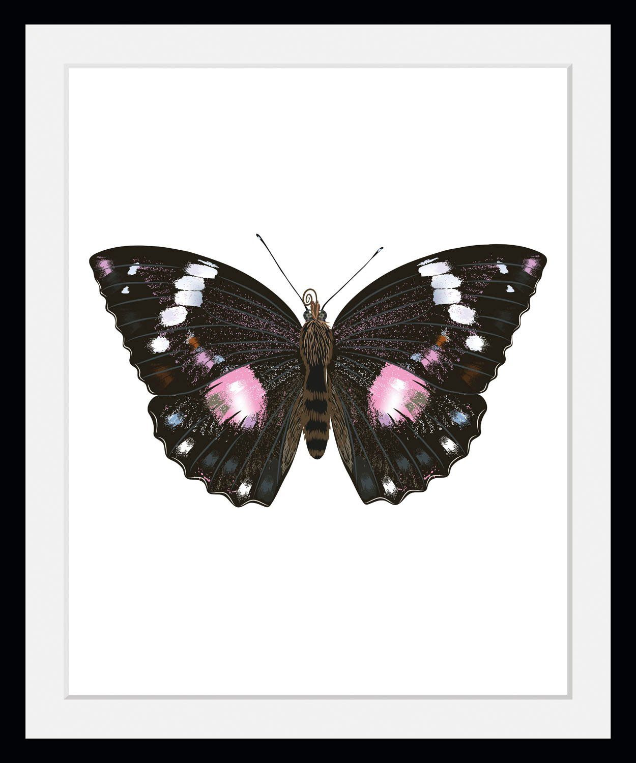 queence Bild Marissa, Schmetterlinge (1 St)