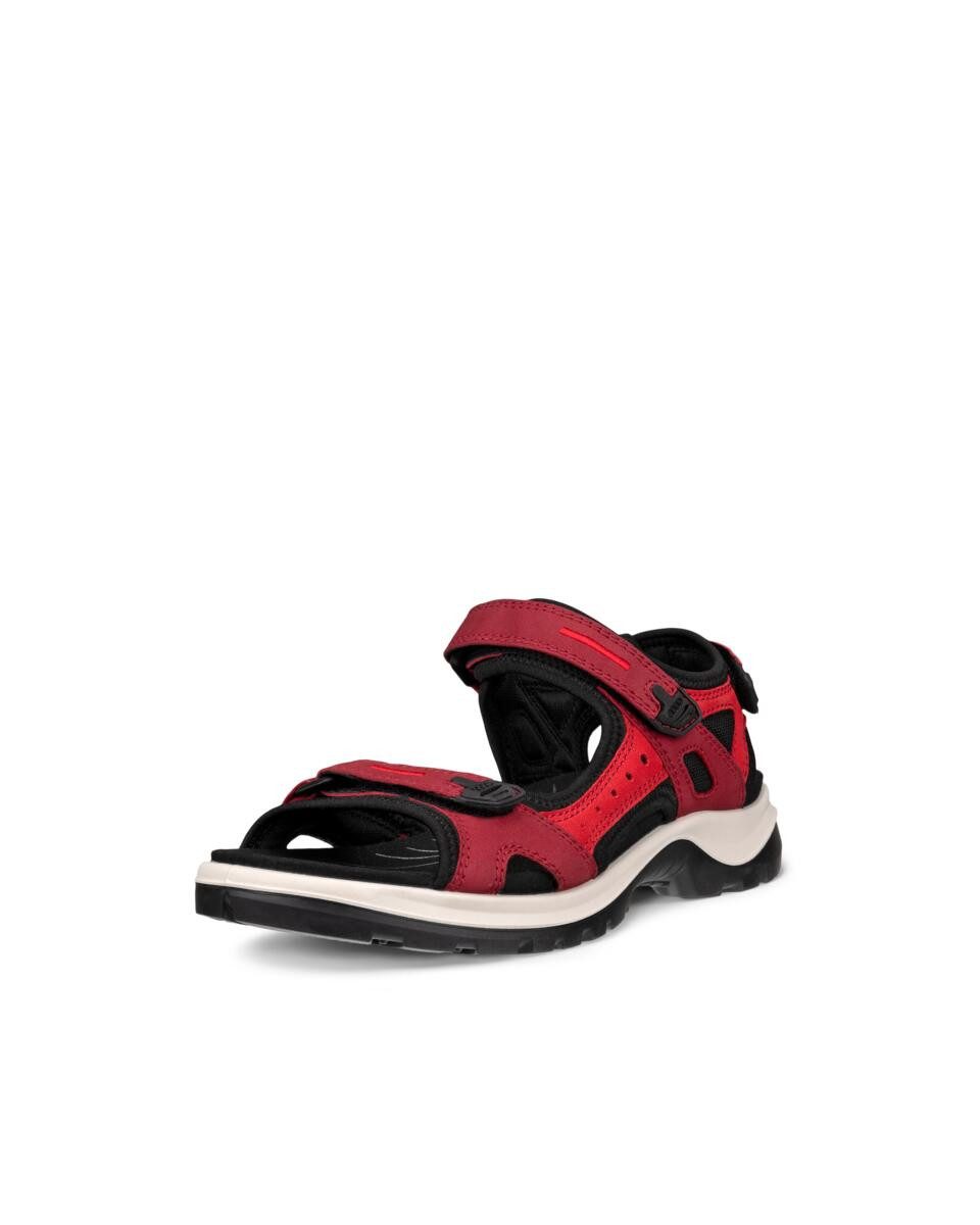 Ecco OFFROAD Trekkingsandale, Outdoorschuh, Sommerschuh, Freizeitsandale, in sportlicher Optik
