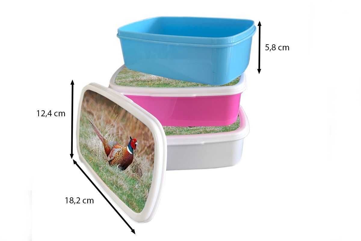 Mädchen MuchoWow Fasan Brotbox Lunchbox - für Jungs Kinder Gras und weiß - Brotdose, und Erwachsene, Winter, (2-tlg), für Kunststoff,