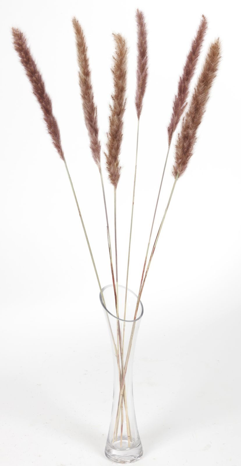 Kunstpflanze Pampasgras getrocknet 65-75cm Trockenstrauß Dekogras Wedel Grashalme R, DIJK